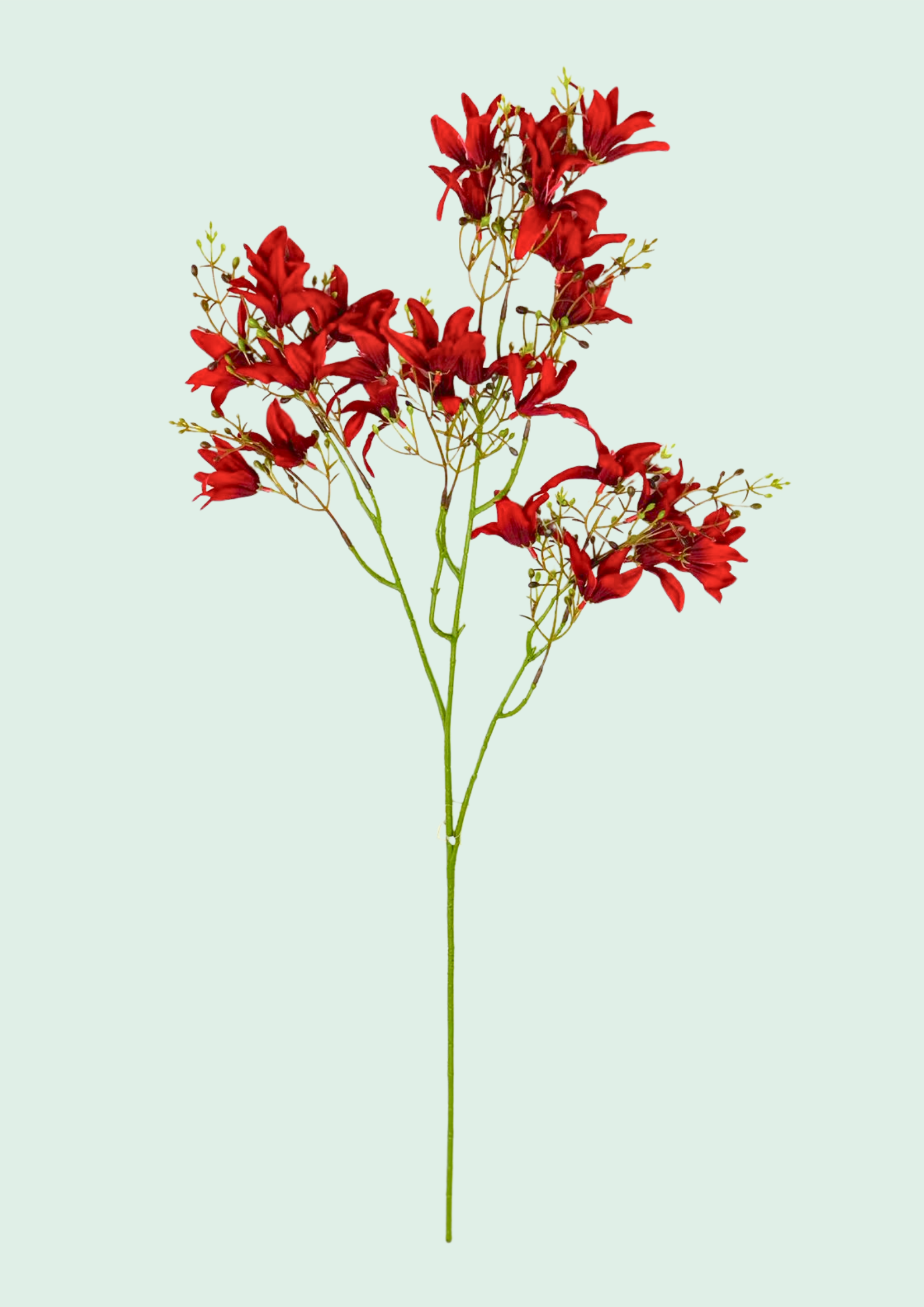 Red Gloriosa Lily Spray