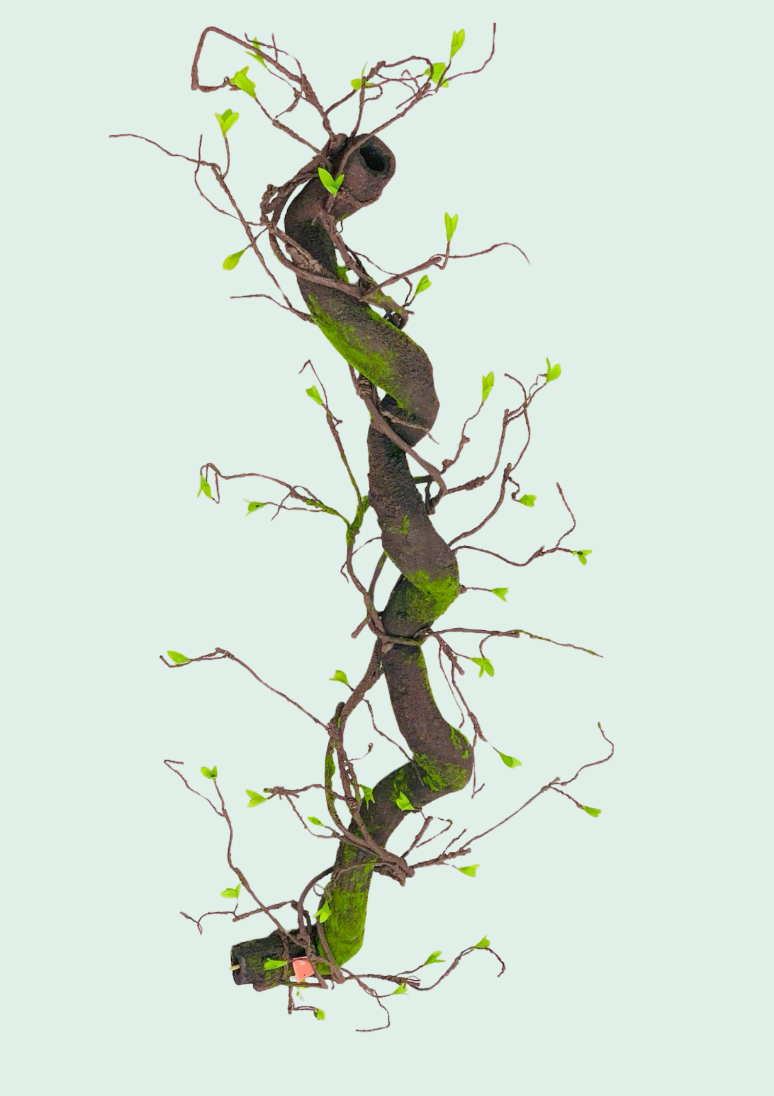 Twisted Vine Branch Decor