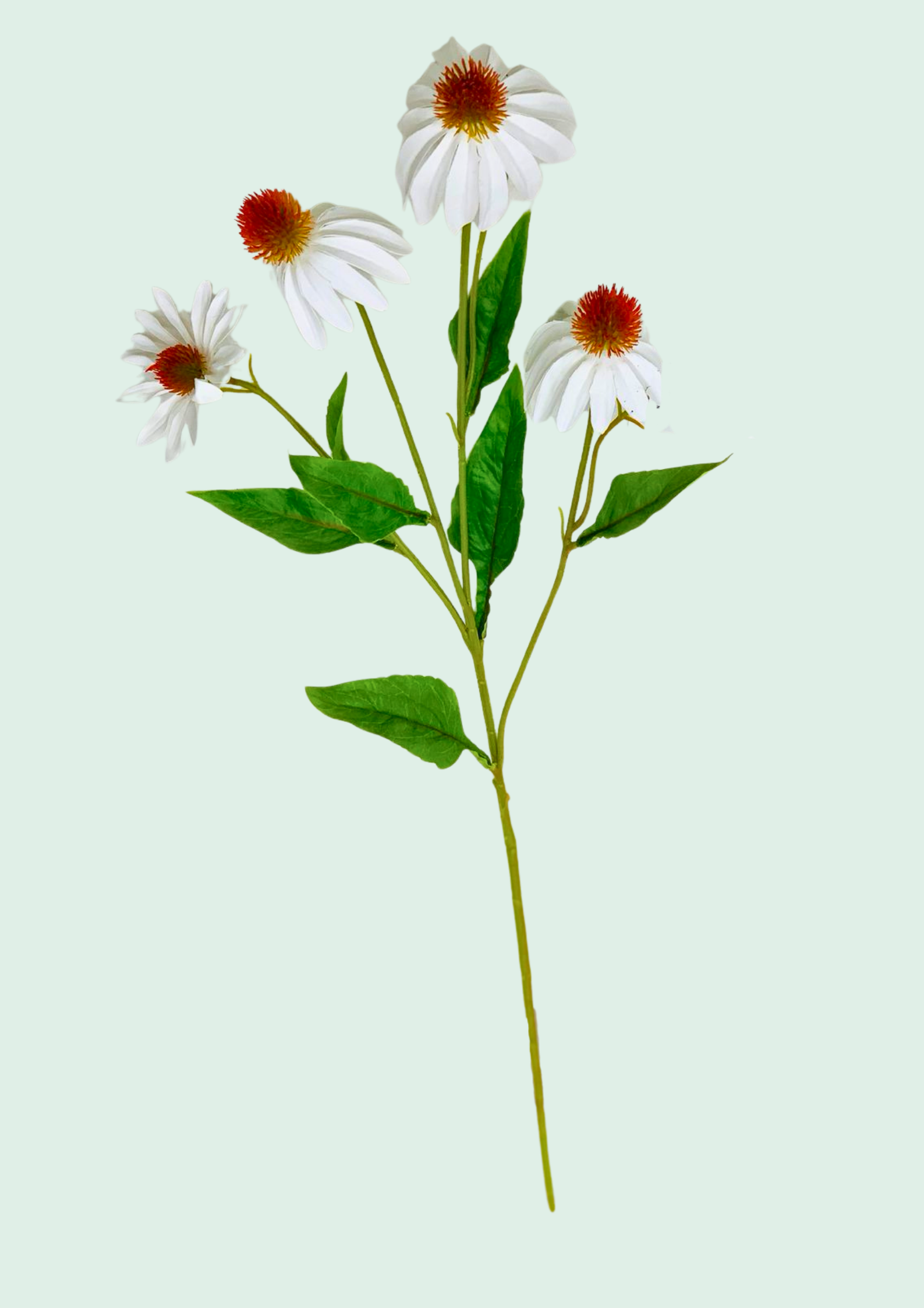Coneflower Spray White