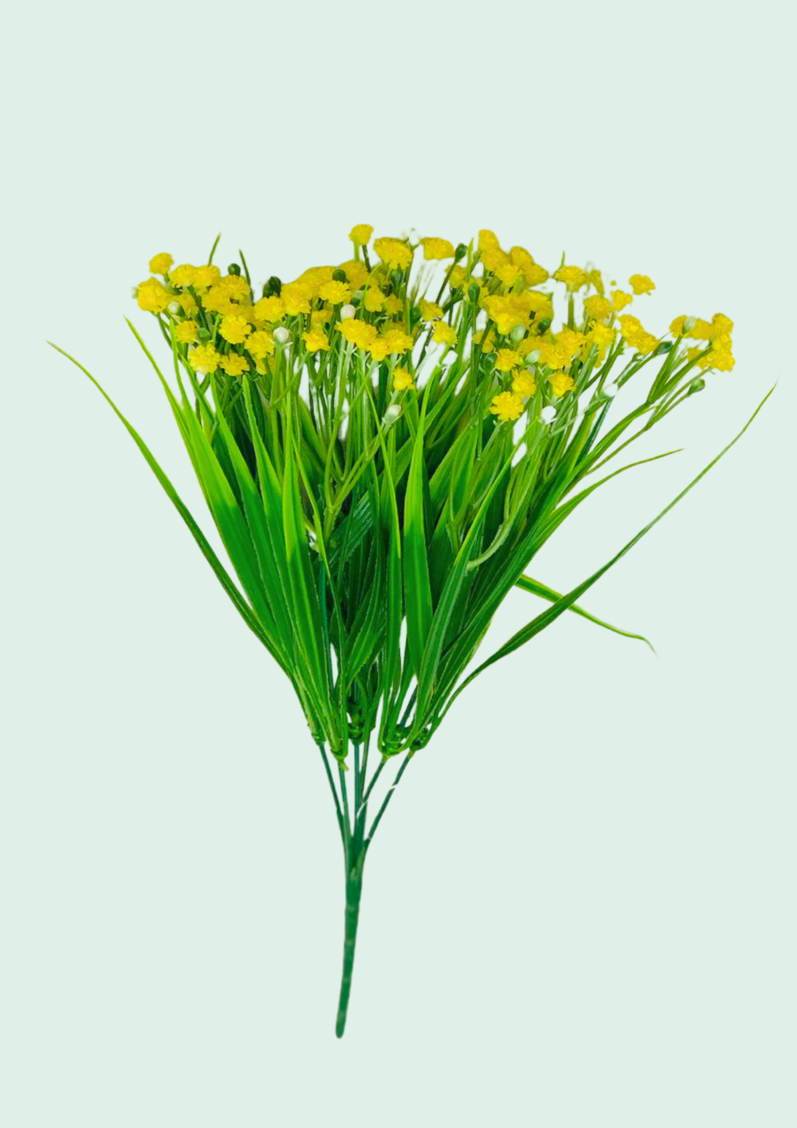Craspedia Grass Bunch Yellow