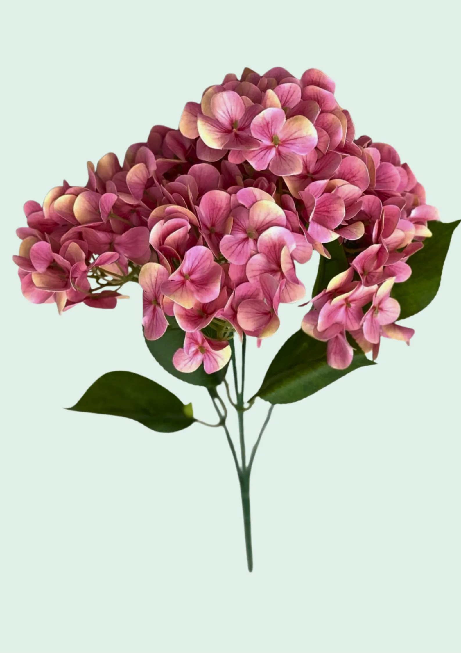 Hydrangea Spray, Mauve