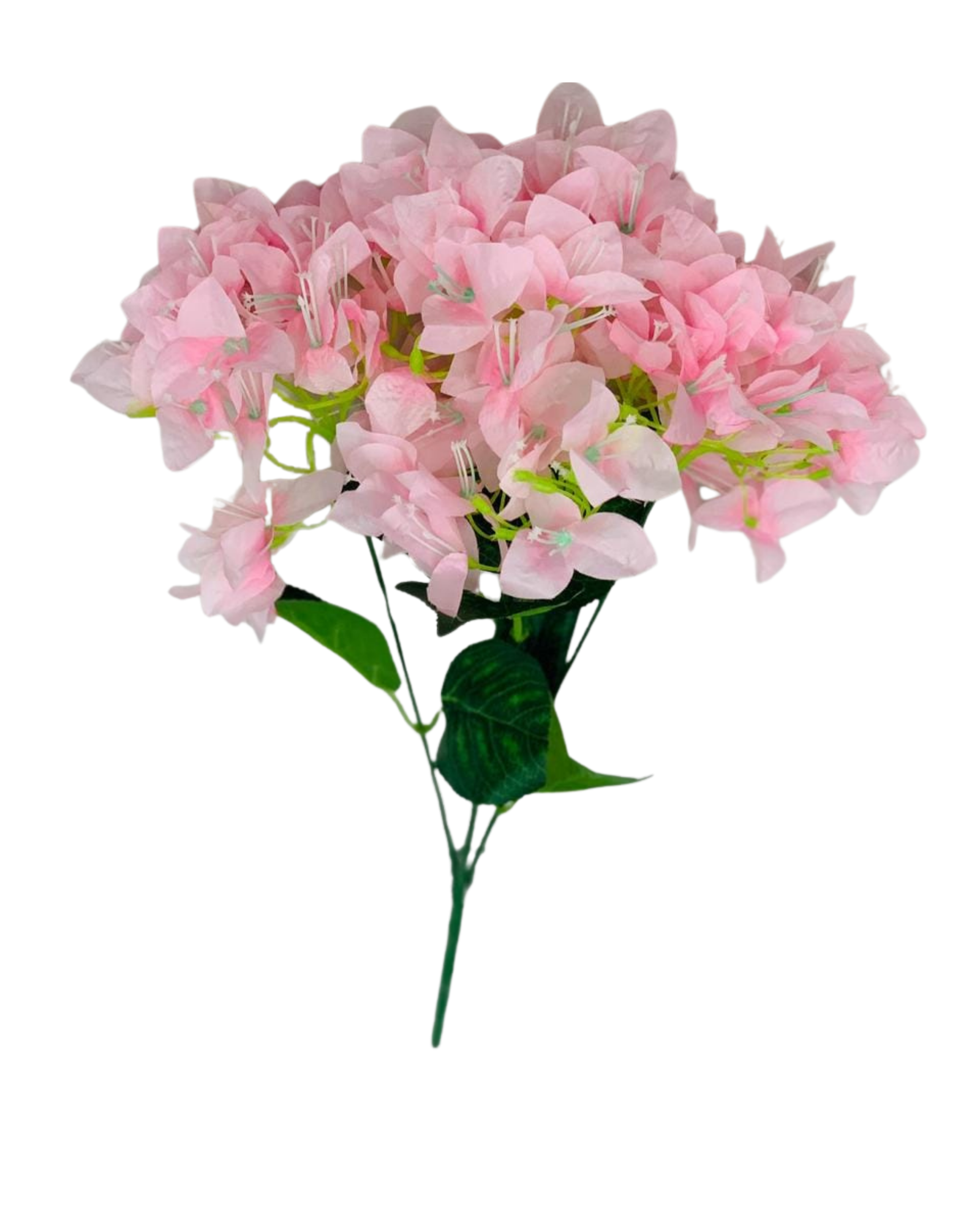 Pink Bougainvillea Bouquet