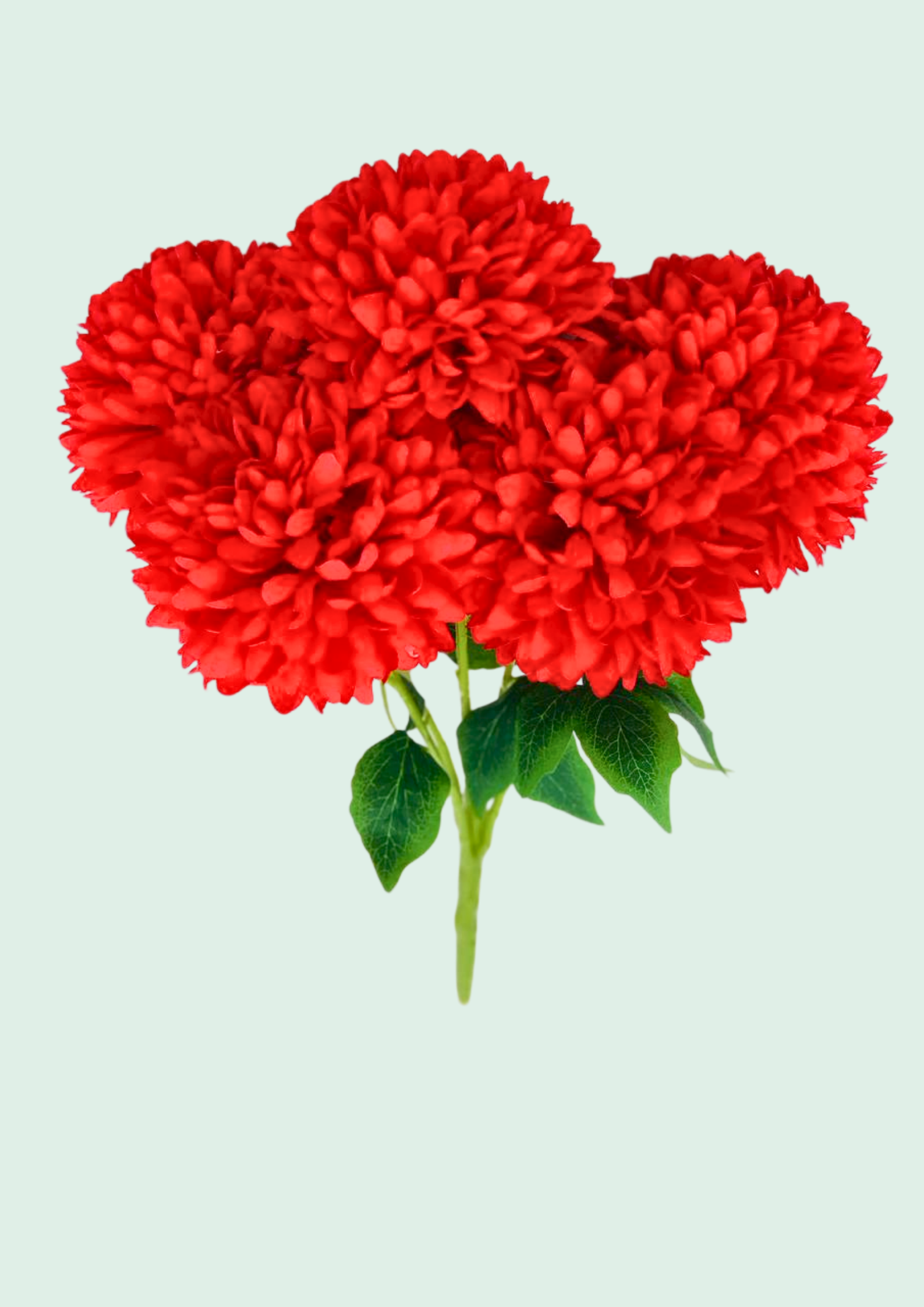 Red Mum Bouquet 1