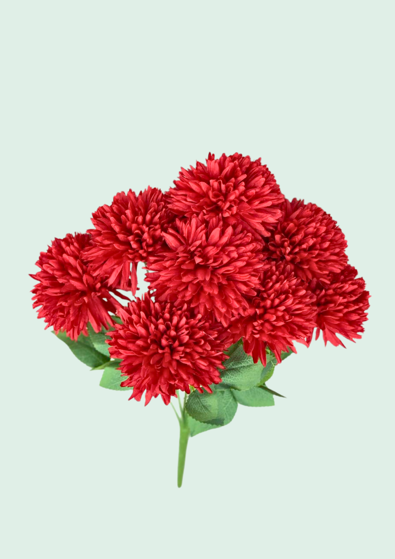 Red Mum Bouquet 2