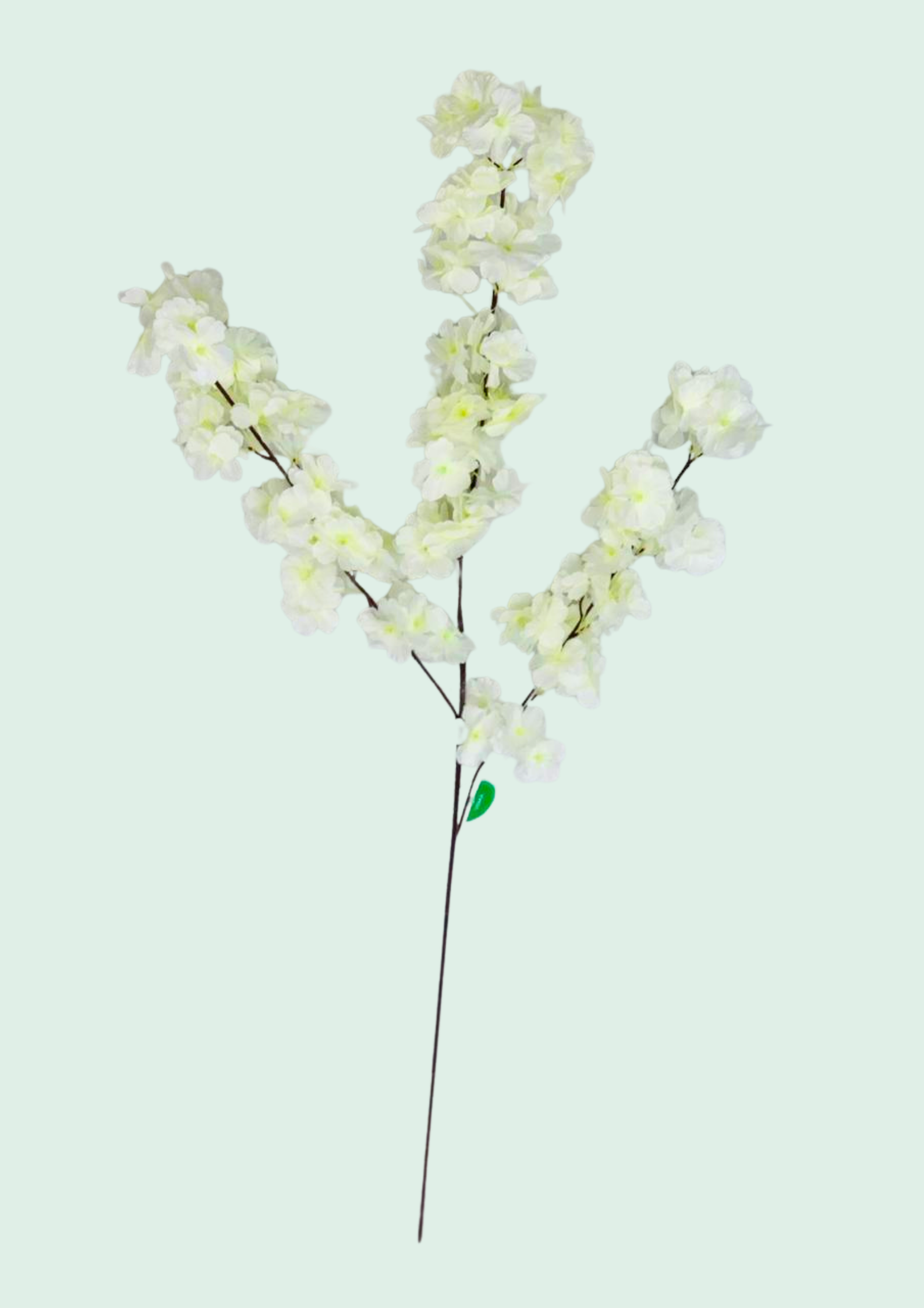 Round Leaf Greenery Spray