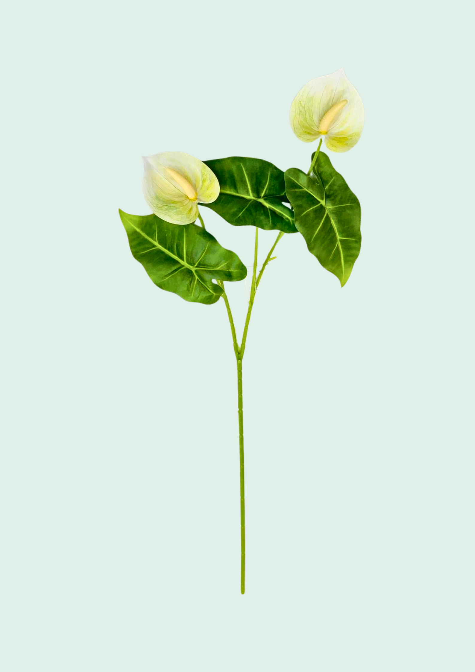 White Anthurium Spray