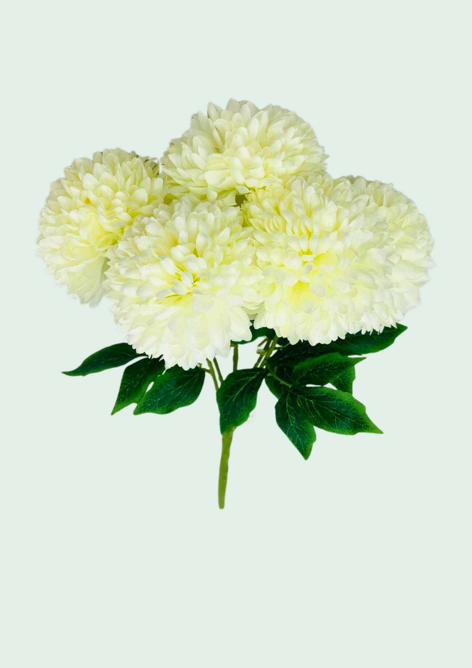 White Mum Bouquet