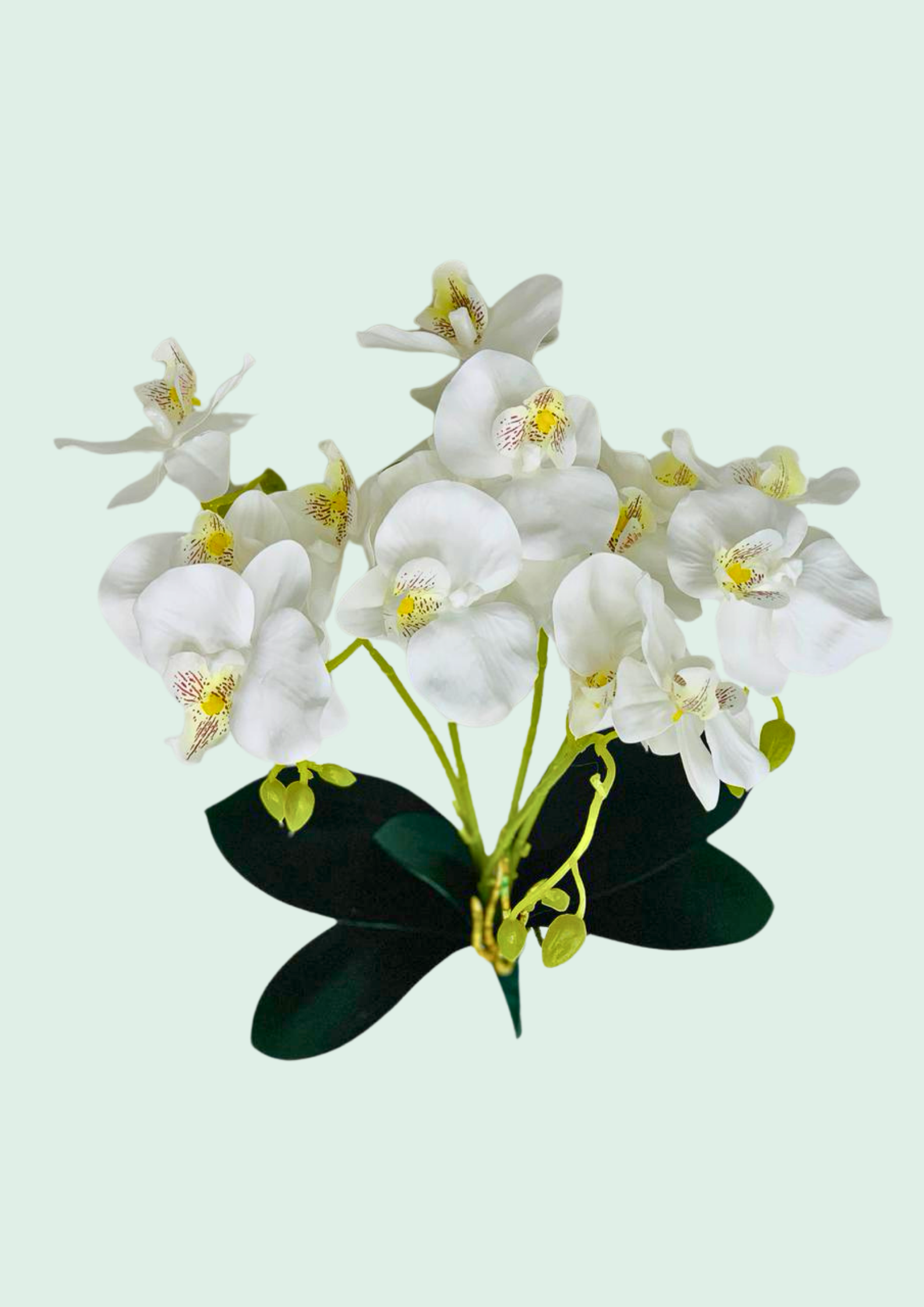 White Orchid Bouquet