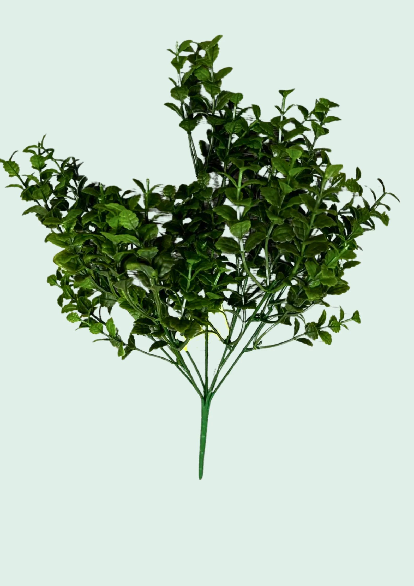 Compact Leaf Bush Spray