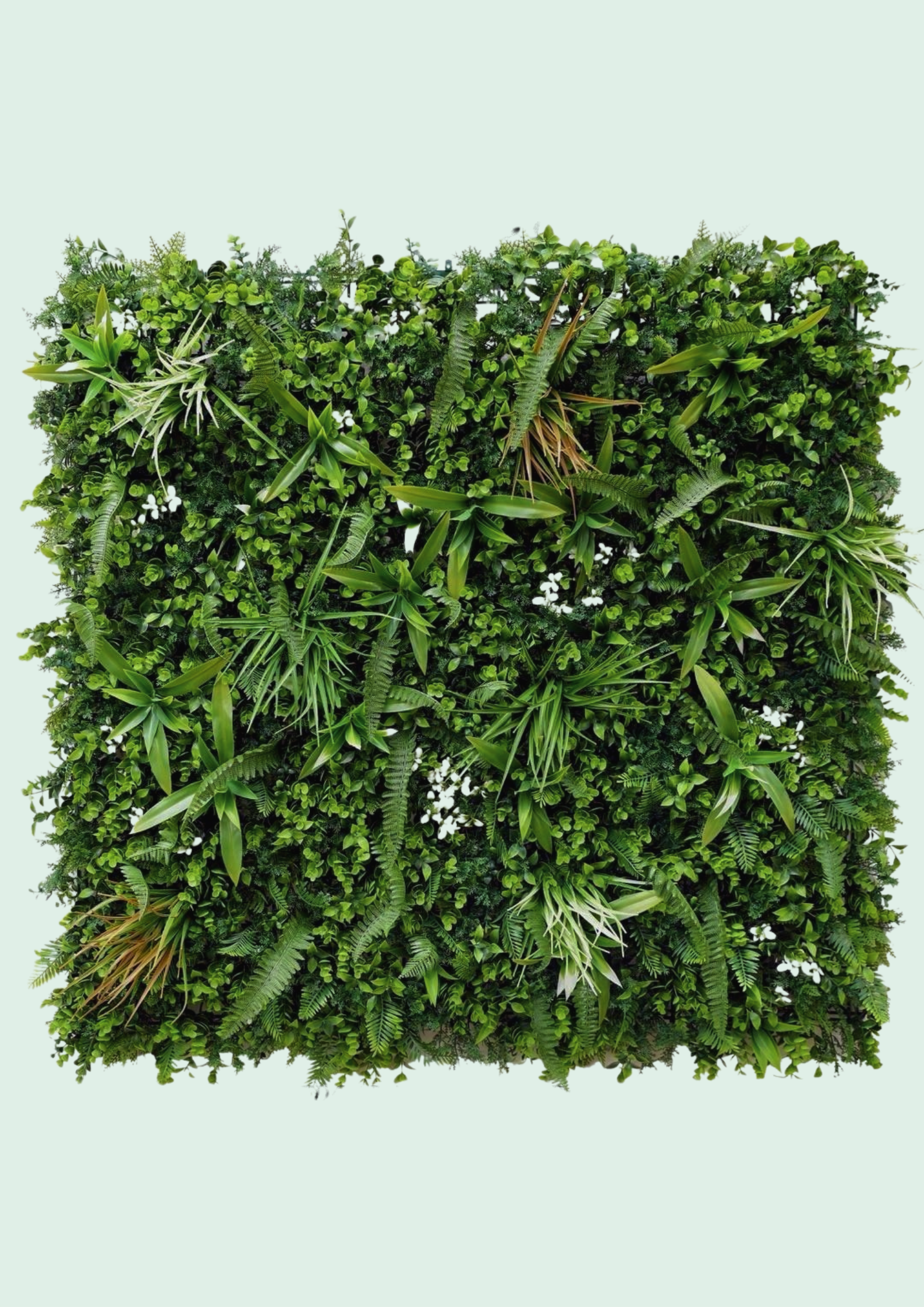 Green Wall Panel Fern Mix