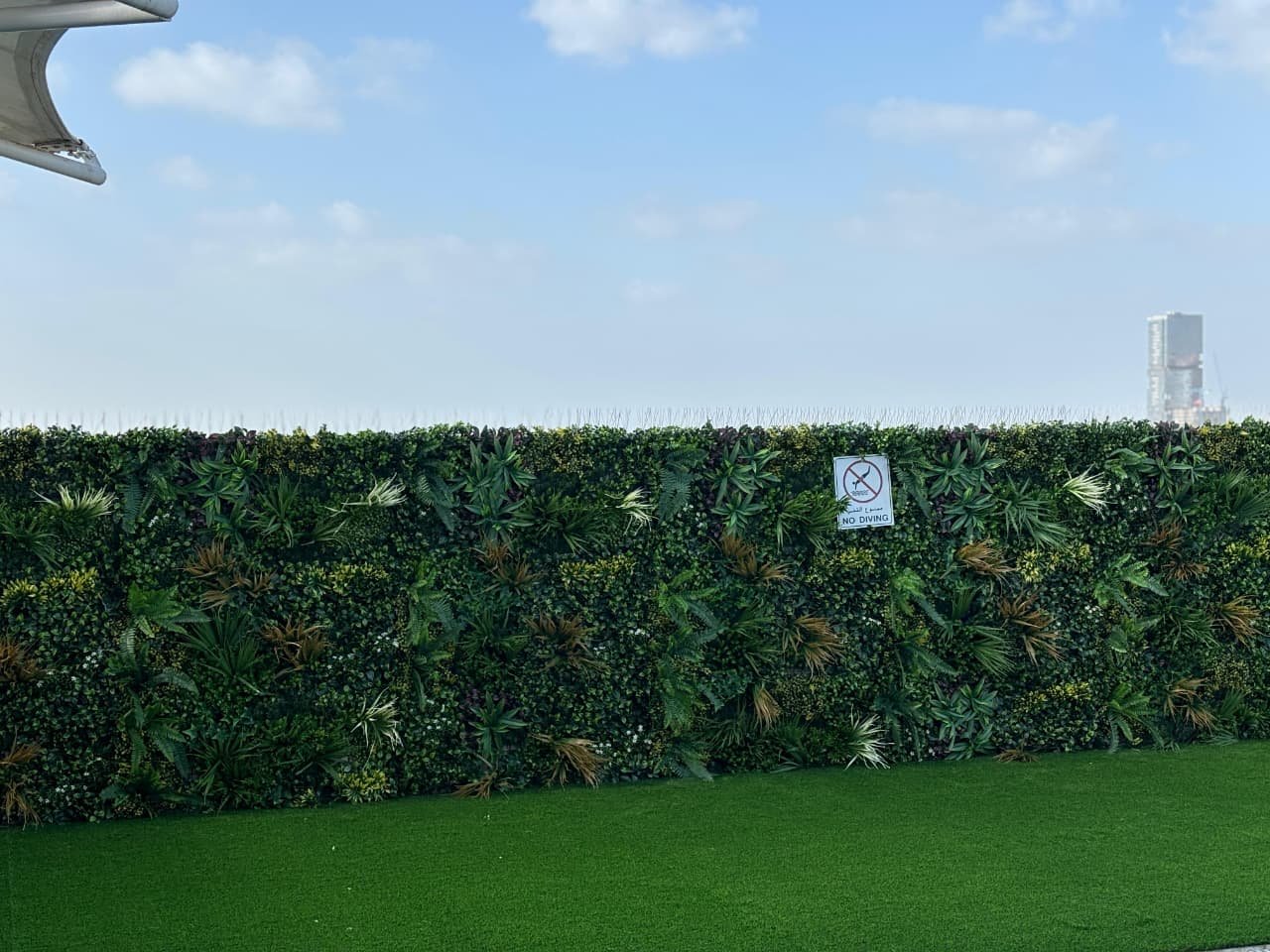 Completed poolside green wall project with Dubai skyline view