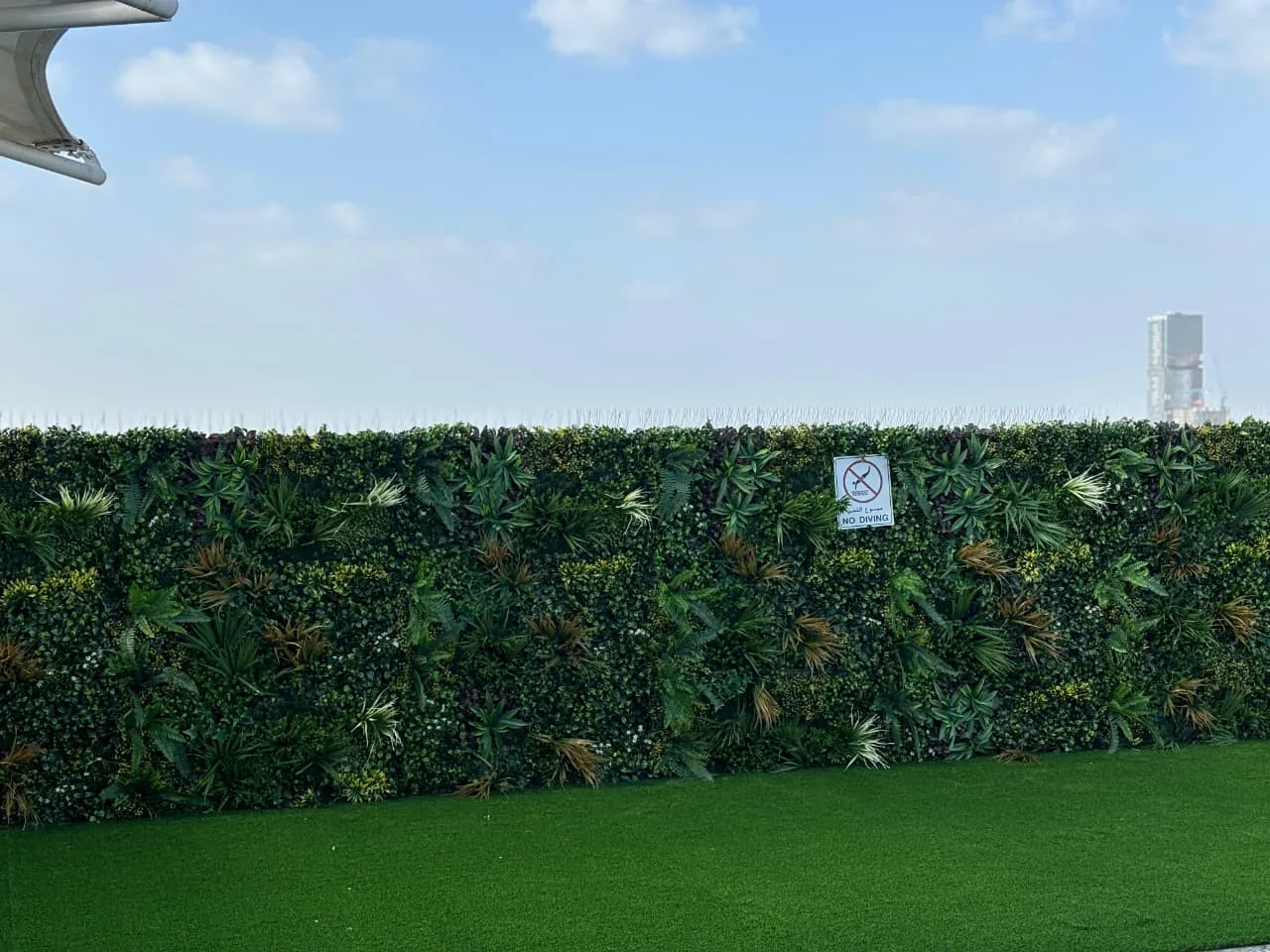 Completed poolside green wall project with Dubai skyline view