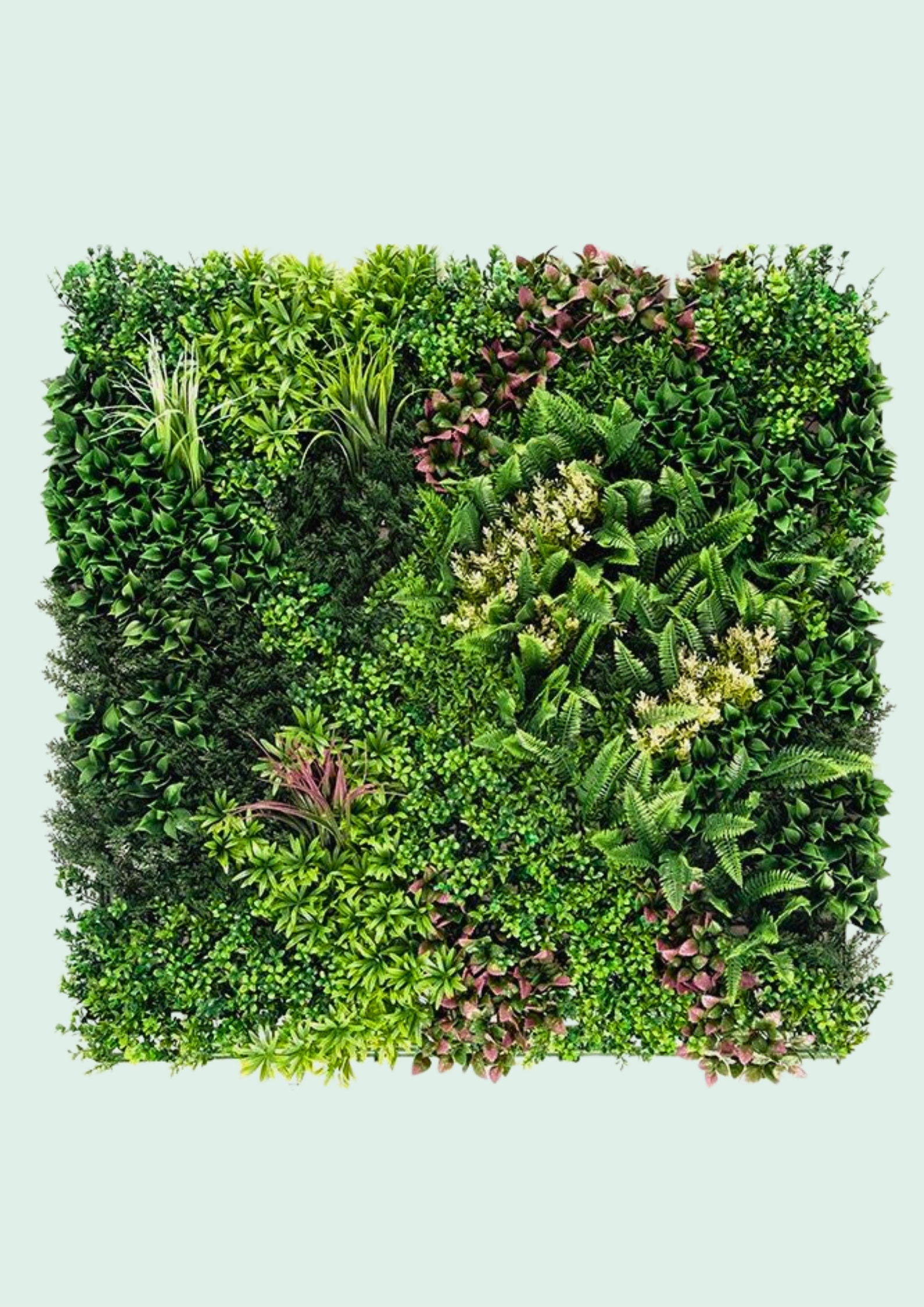 Green wall panel with dracaena spikes, commercial installation