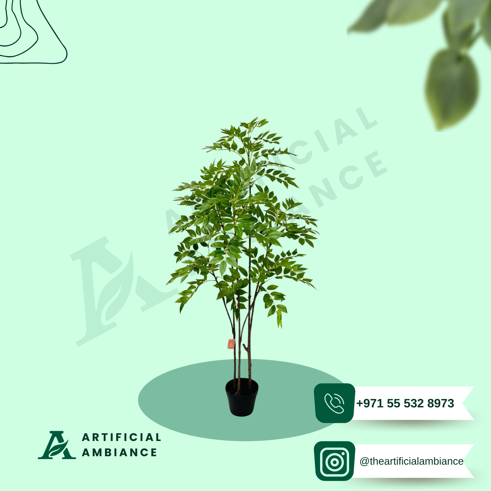 Large statement ficus tree for commercial lobby projects