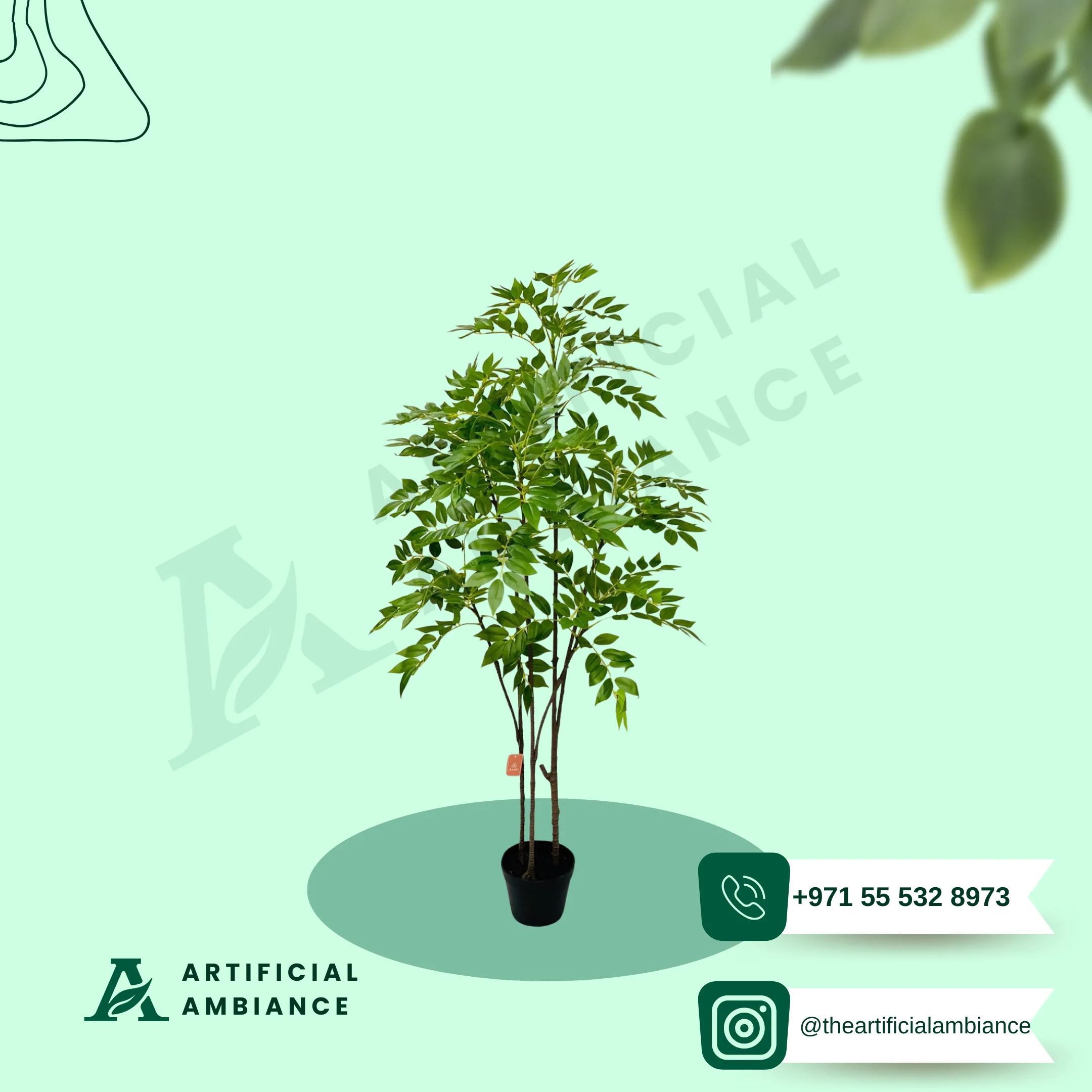 Large statement ficus tree for commercial lobby projects