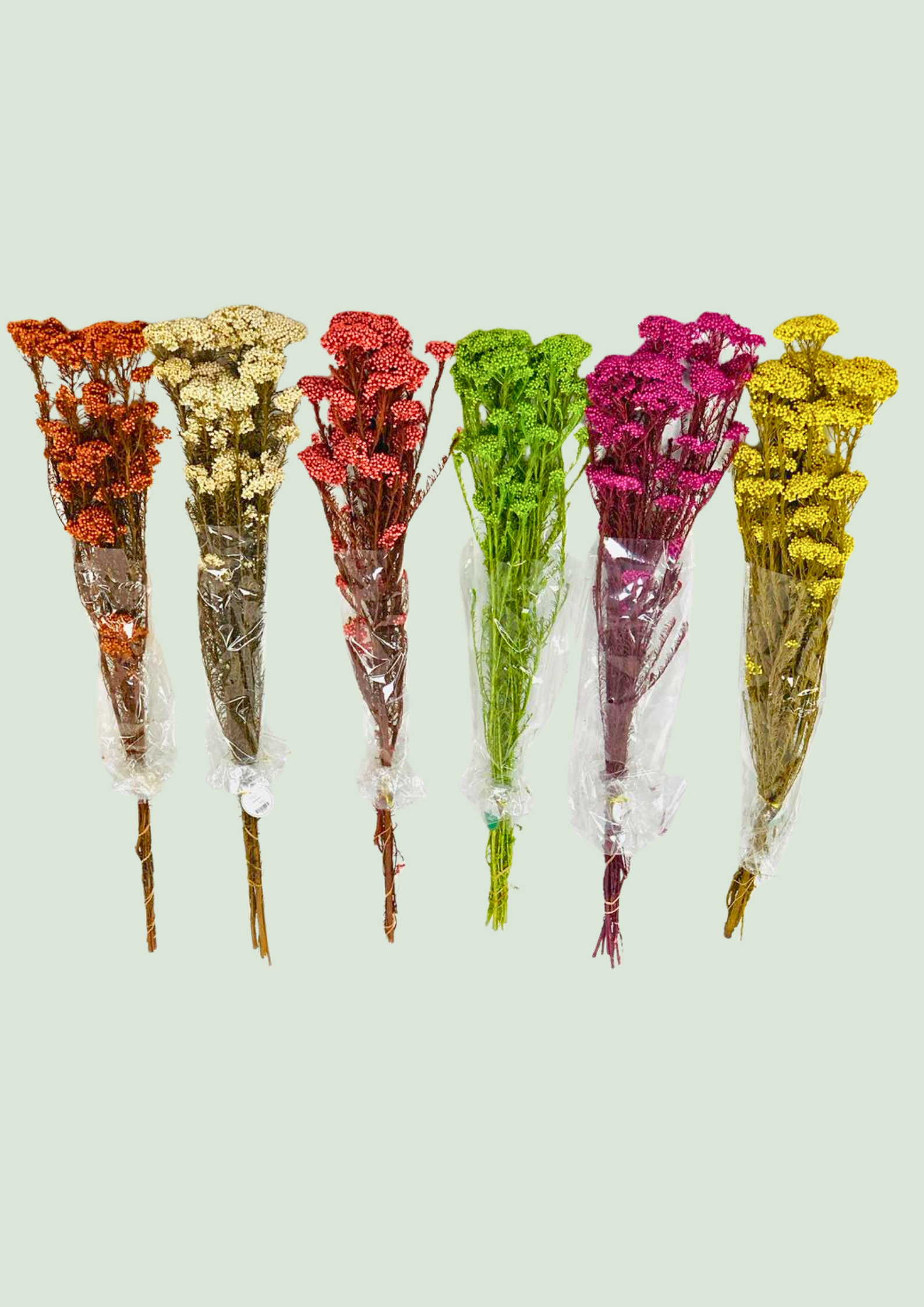 Assorted dried flower bunches for event decor