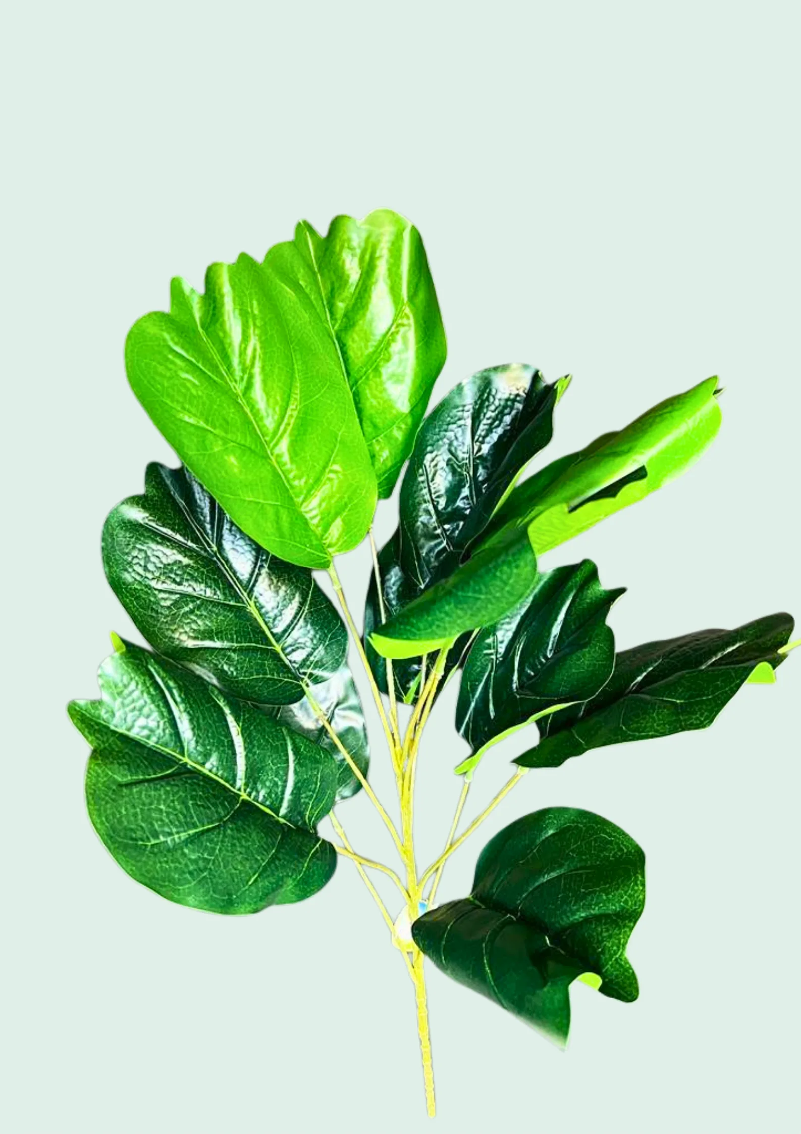 Artificial fiddle leaf fig spray with large glossy leaves