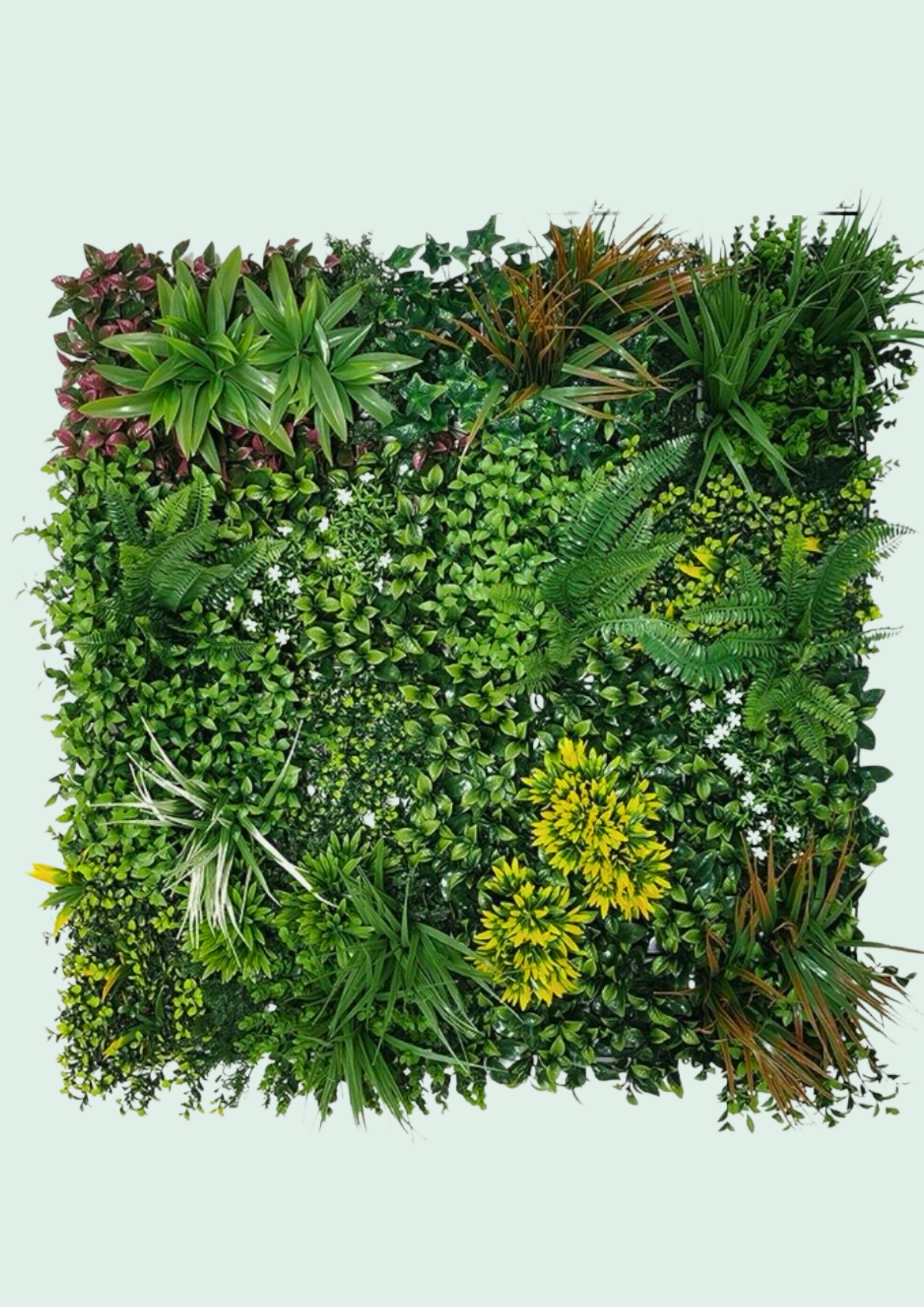 Green wall panel mixing fern, purple foliage and small white flowers