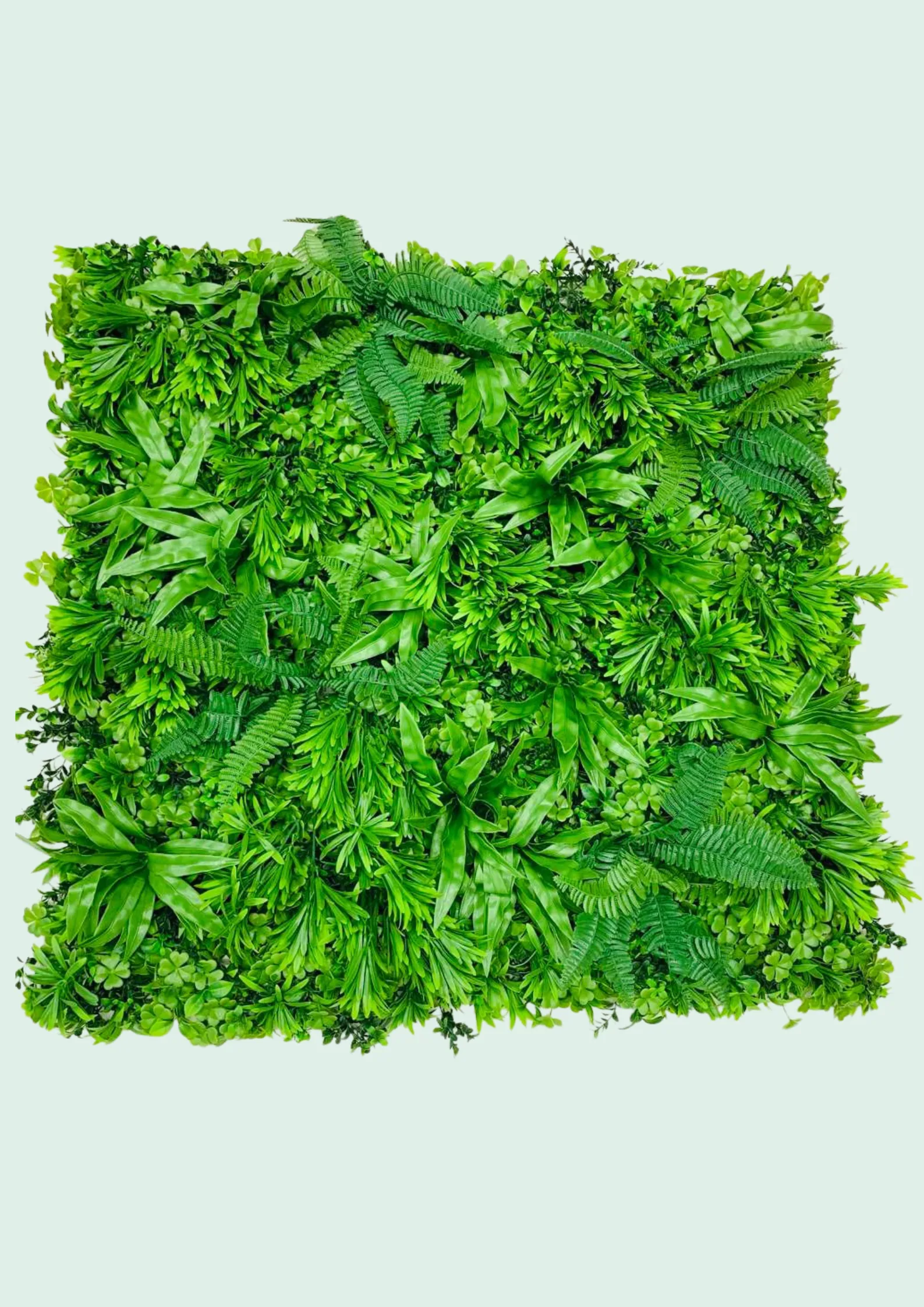 Green wall panel with layered fern fronds and mixed greenery