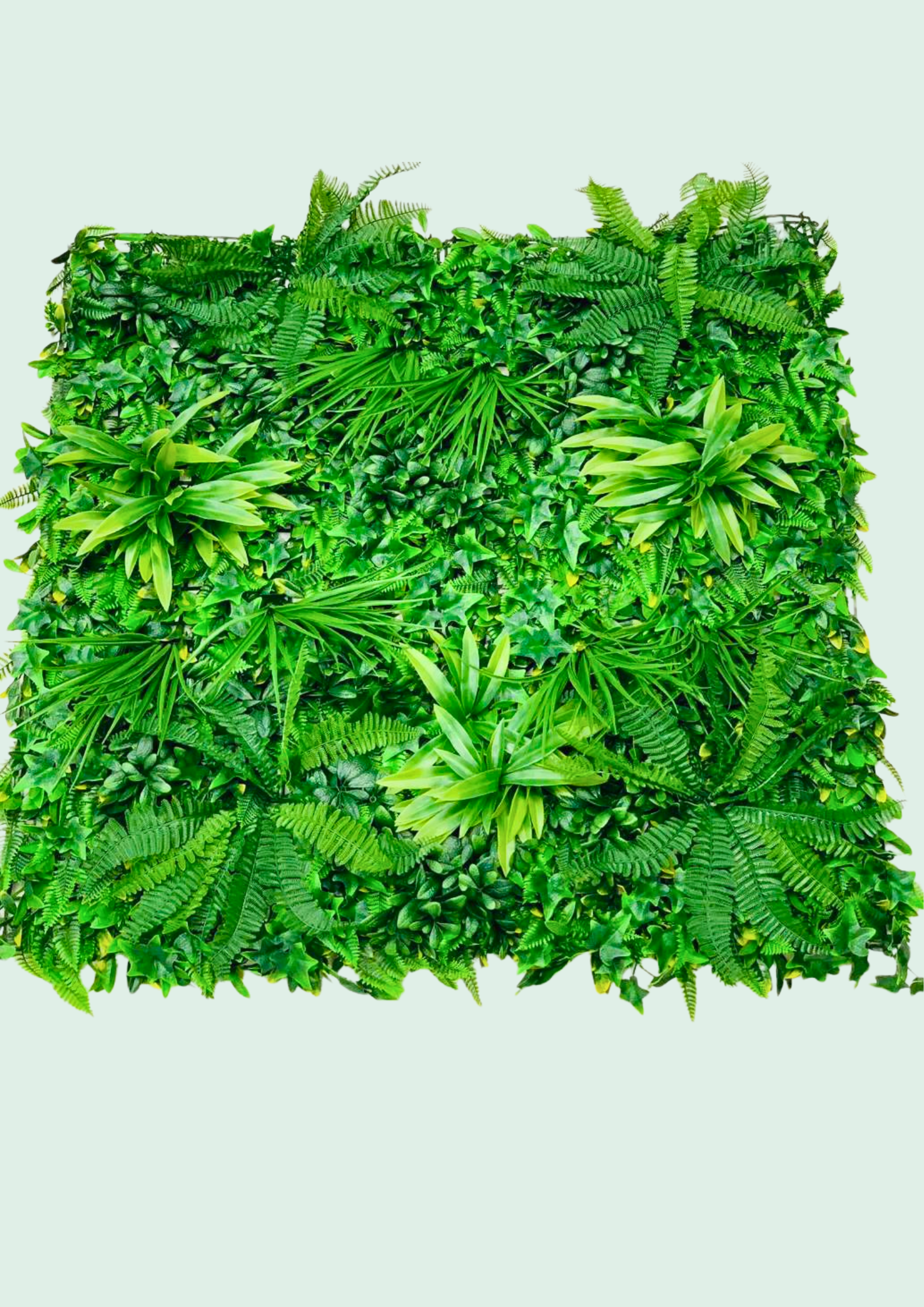 Green wall panel combining fern fronds with ornamental grass tufts