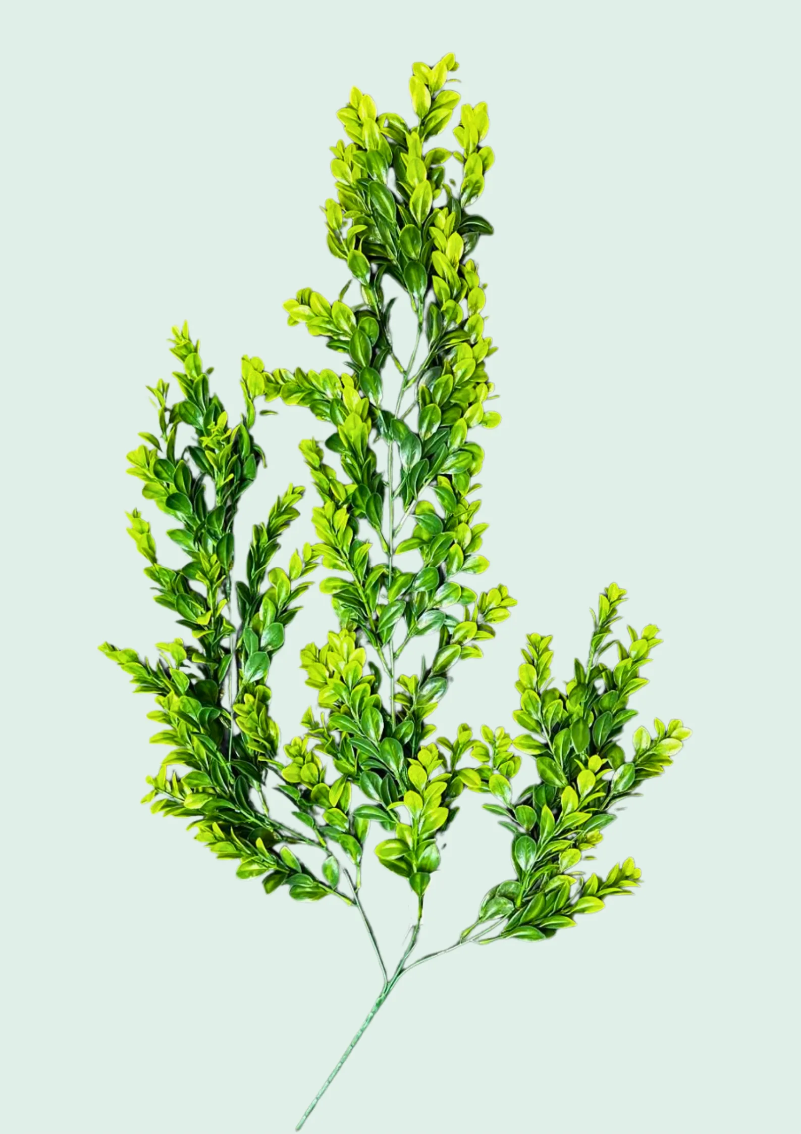 Artificial decorative flowering green wall panel used in the restaurant installation