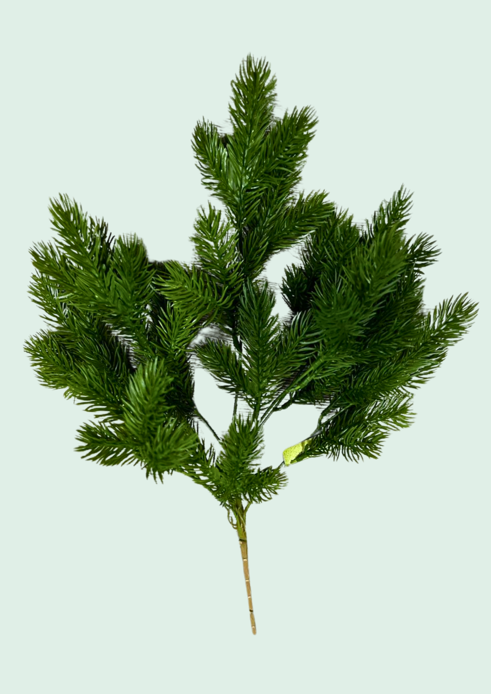 Conifer Pine Spray