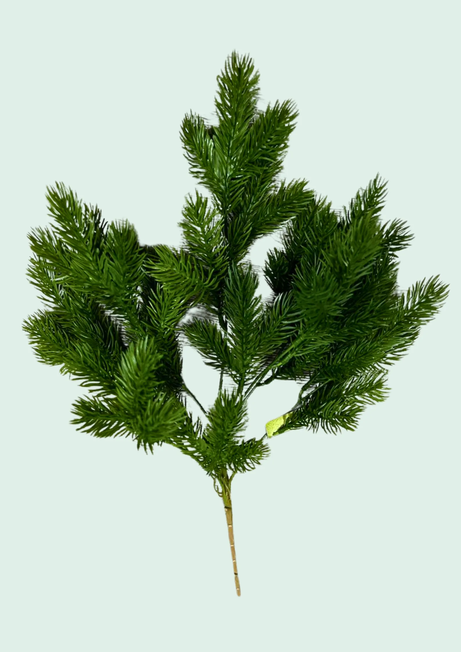 Conifer Pine Spray