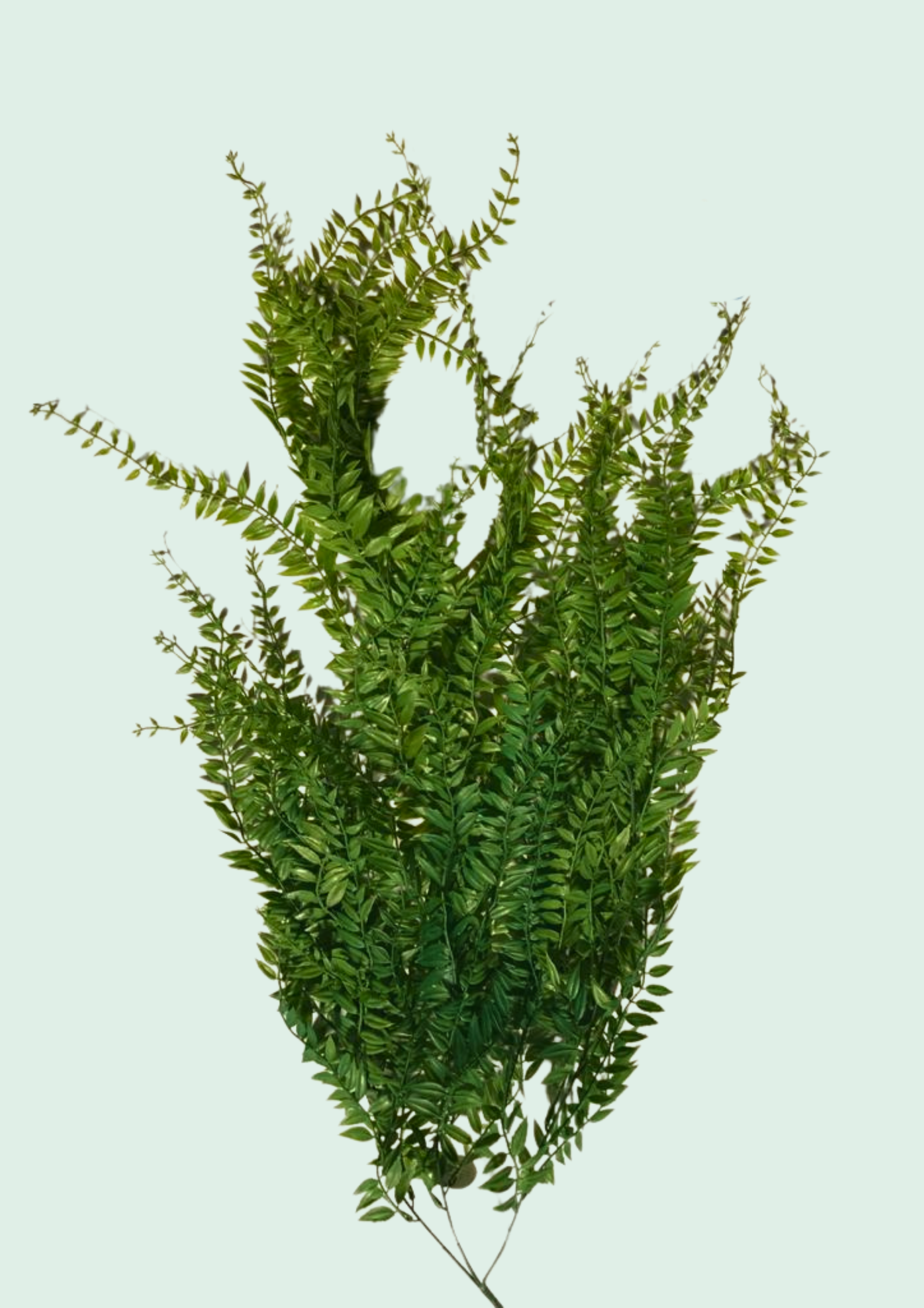 Dense Leaf Greenery Spray