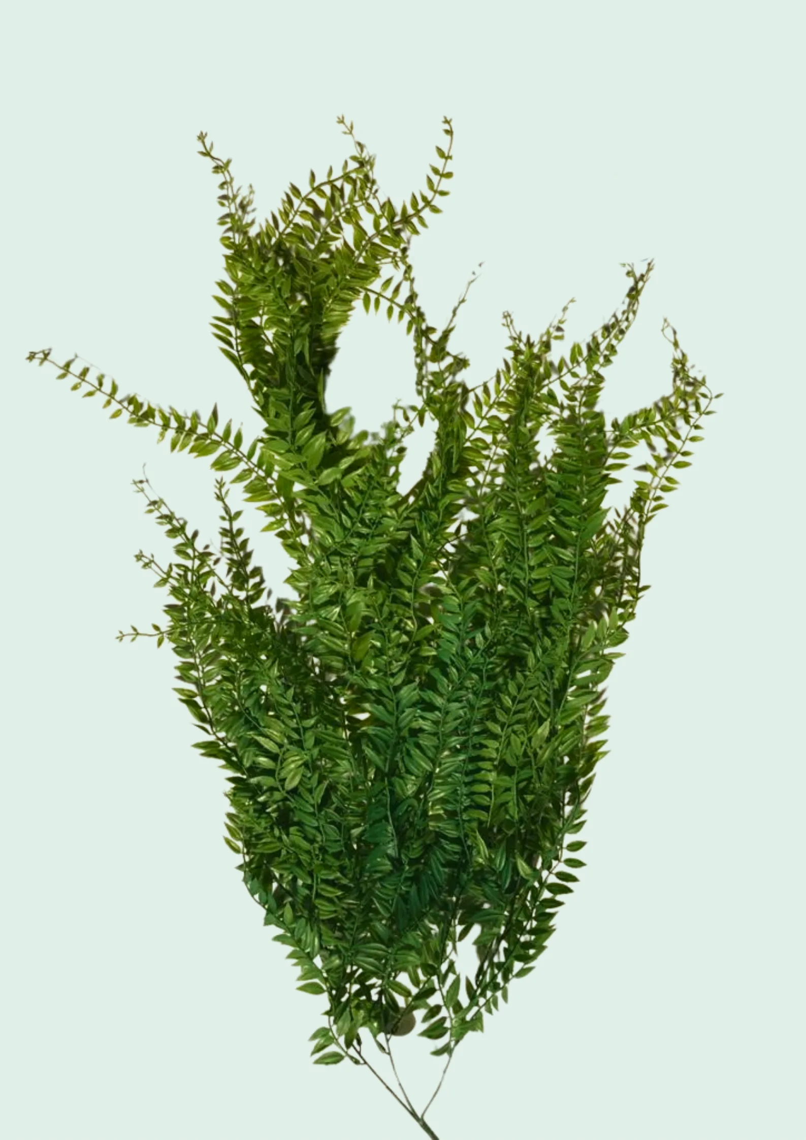 Dense Leaf Greenery Spray