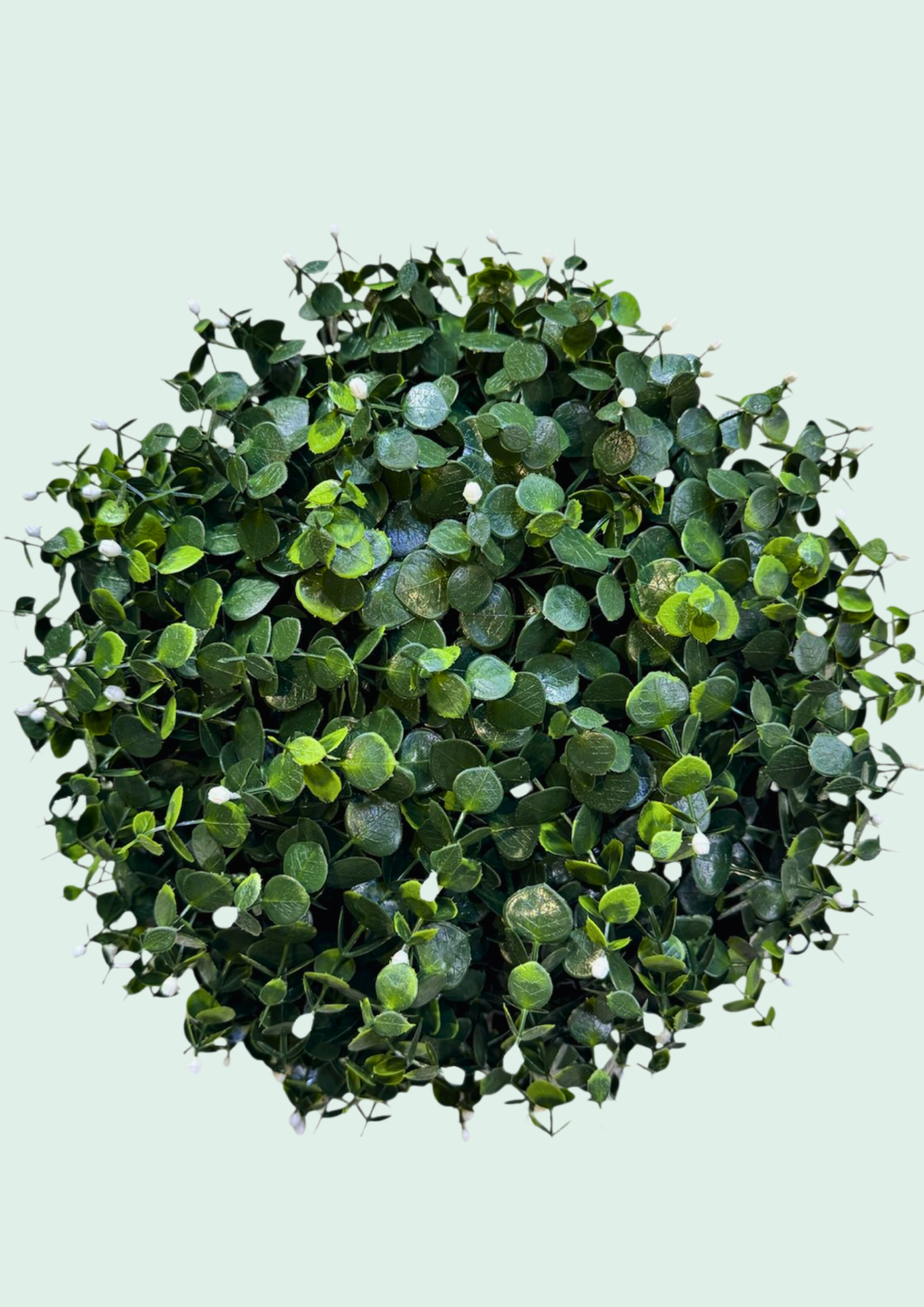 Eucalyptus Ball Topiary