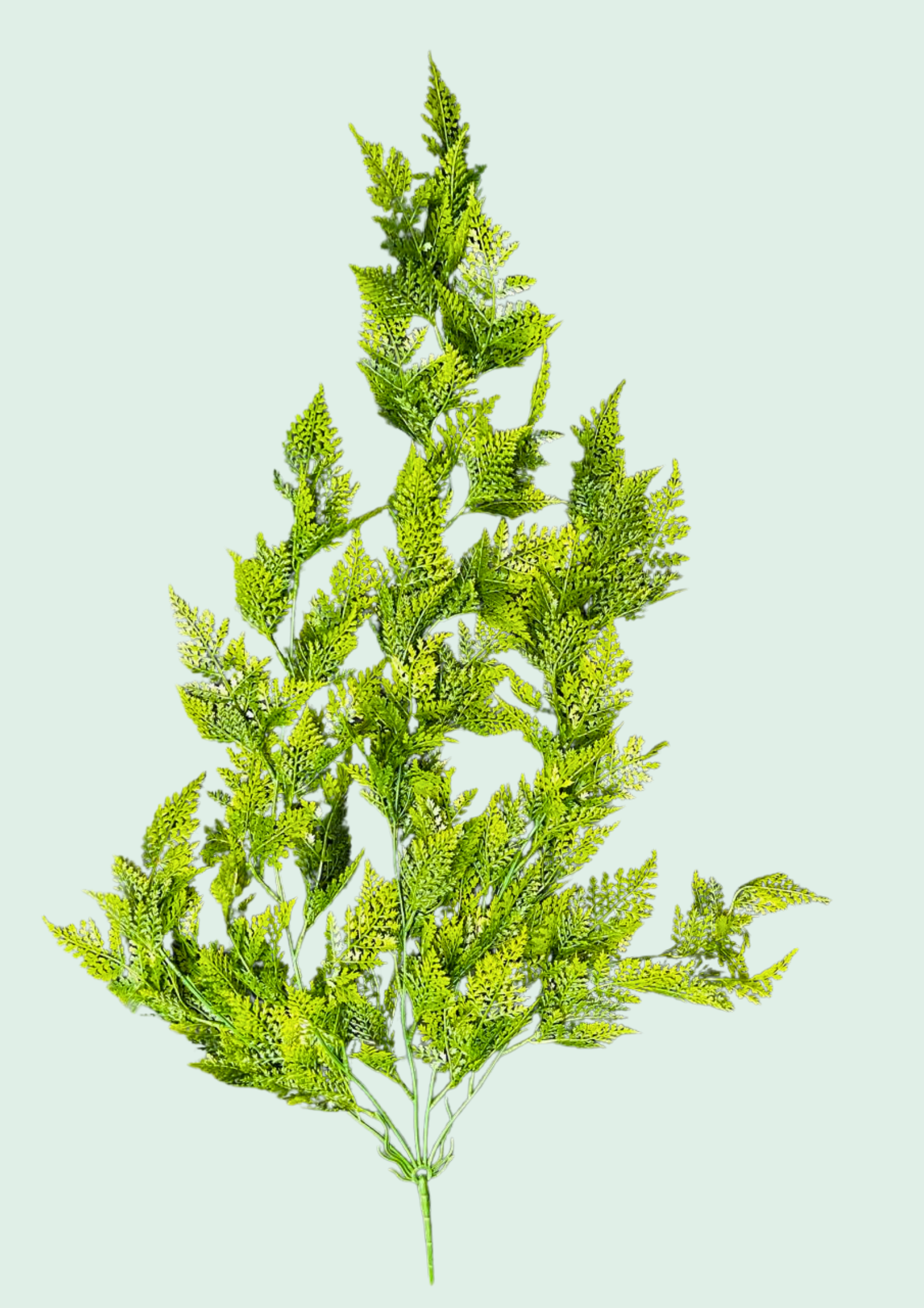 Fern Garland Spray