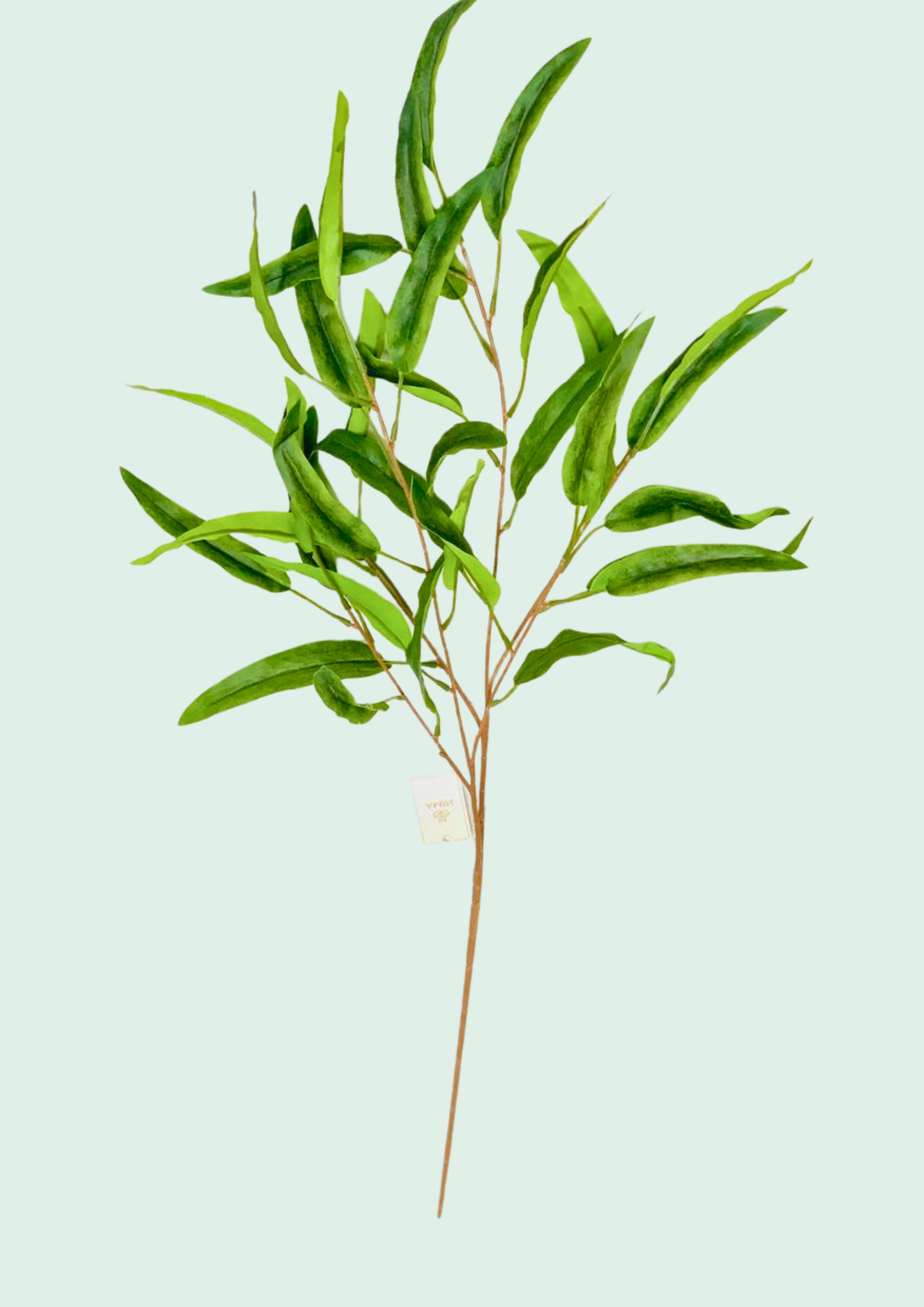 Narrow Leaf Greenery Spray
