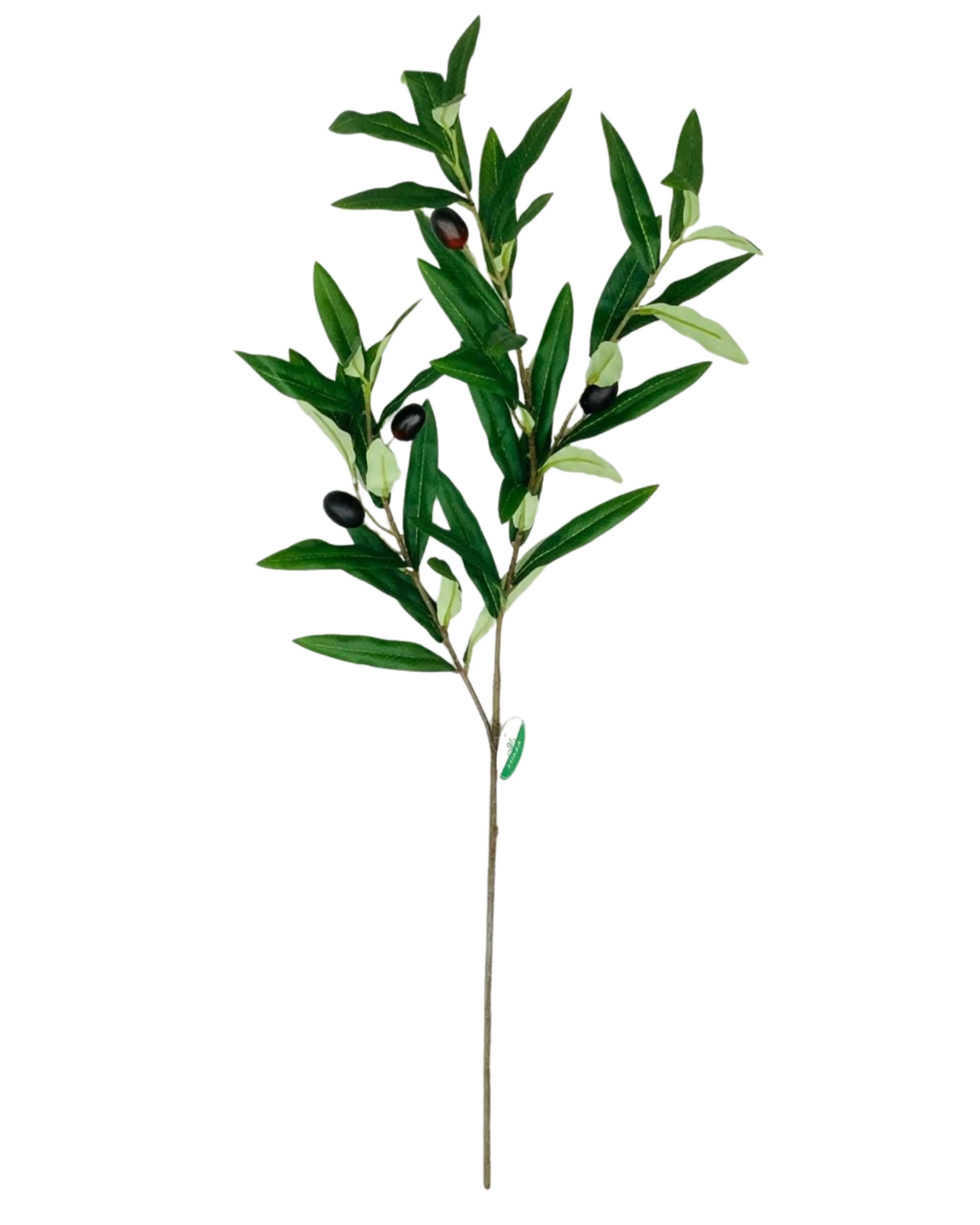 Olive Branch Spray