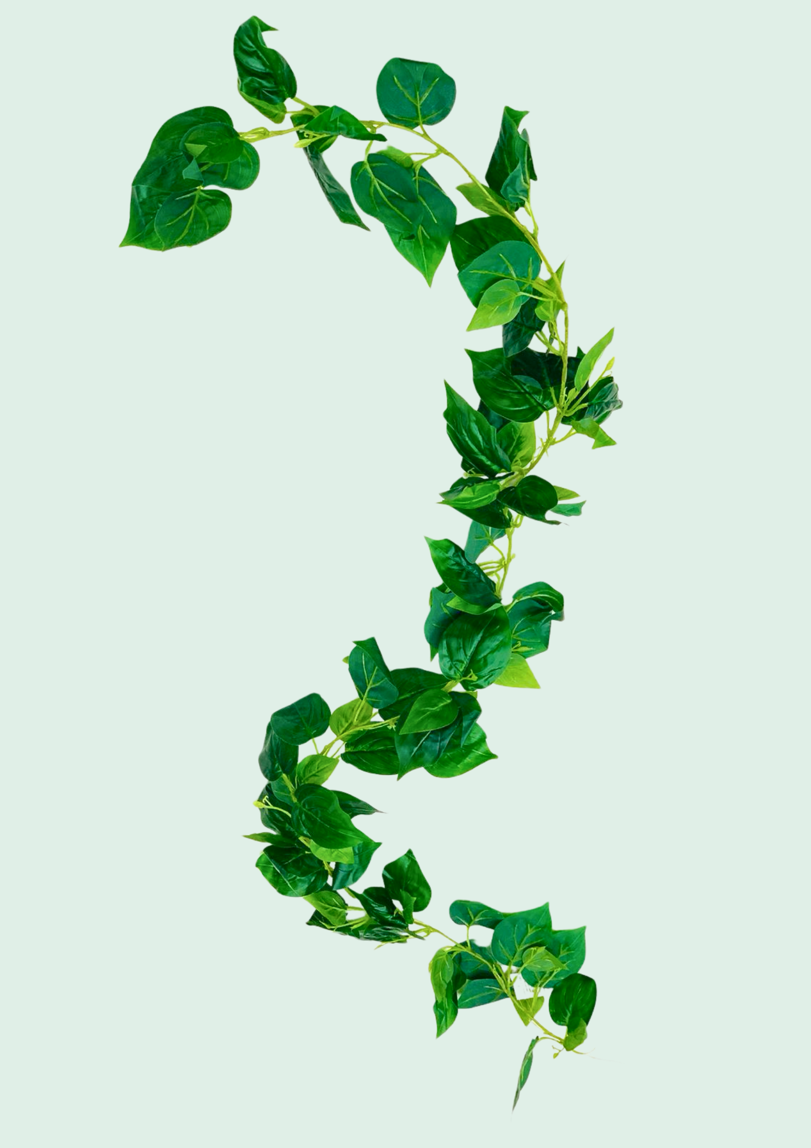 Pothos Vine Garland