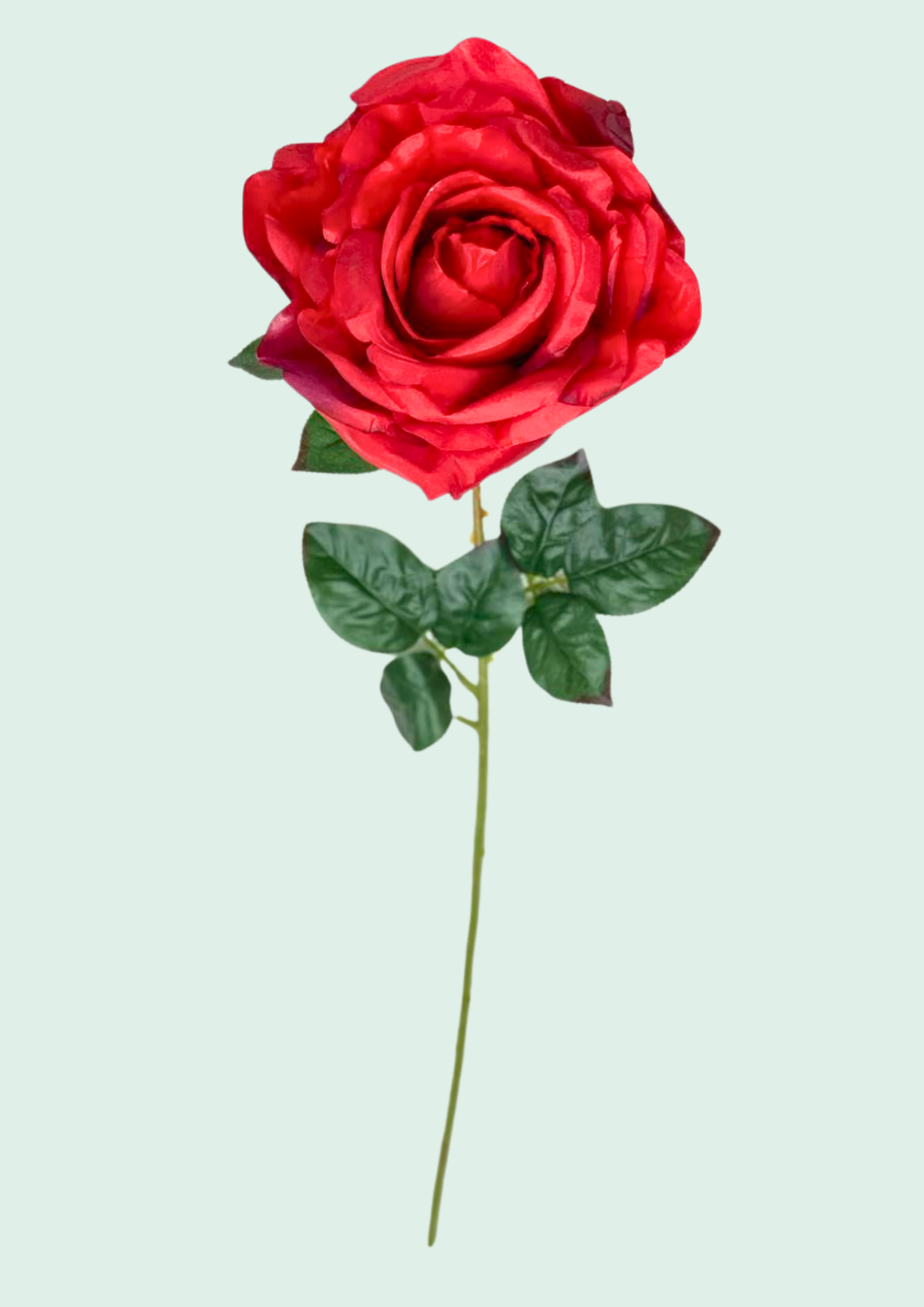 Red Rose Single Stem