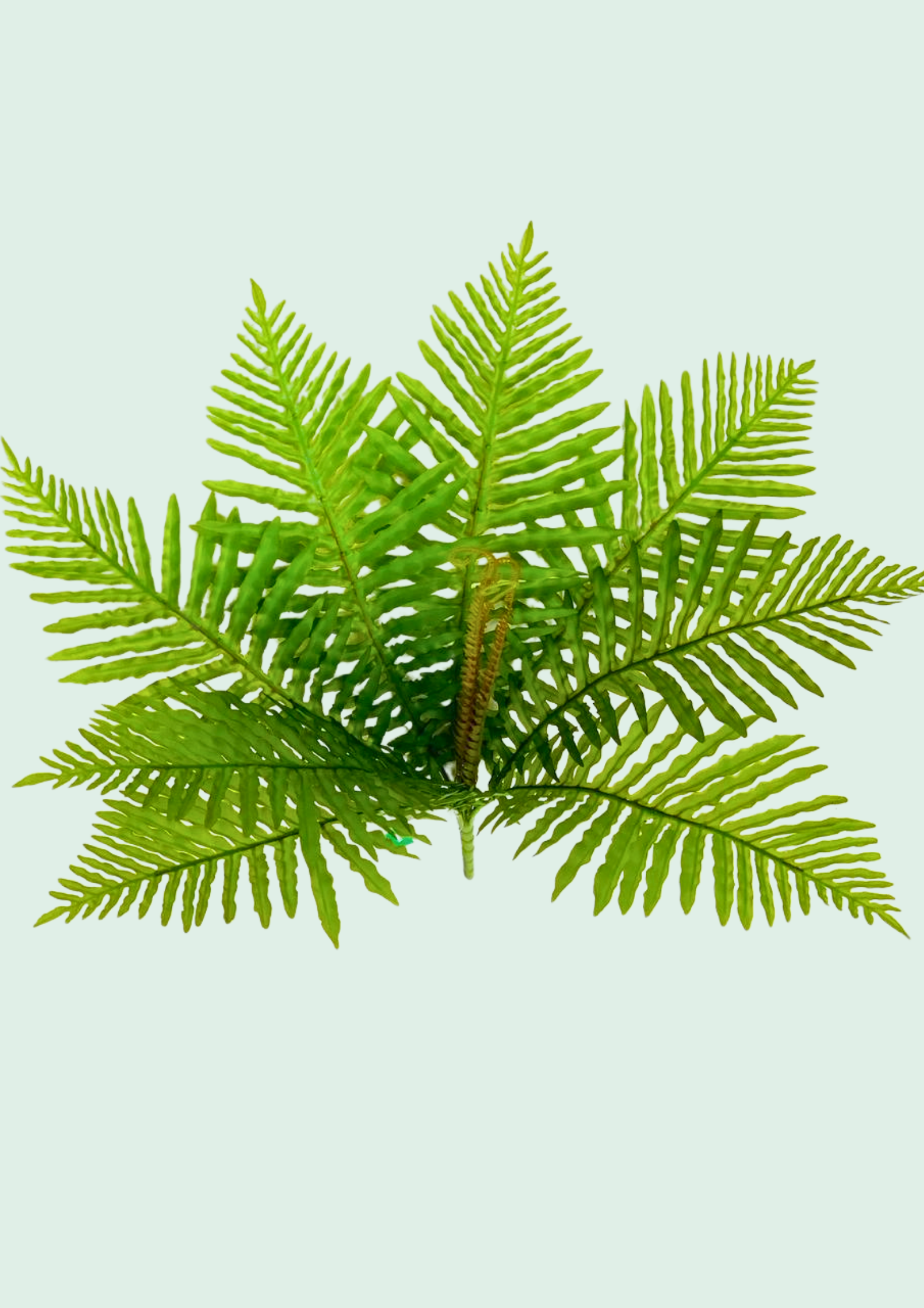 Small Leaf Greenery Spray