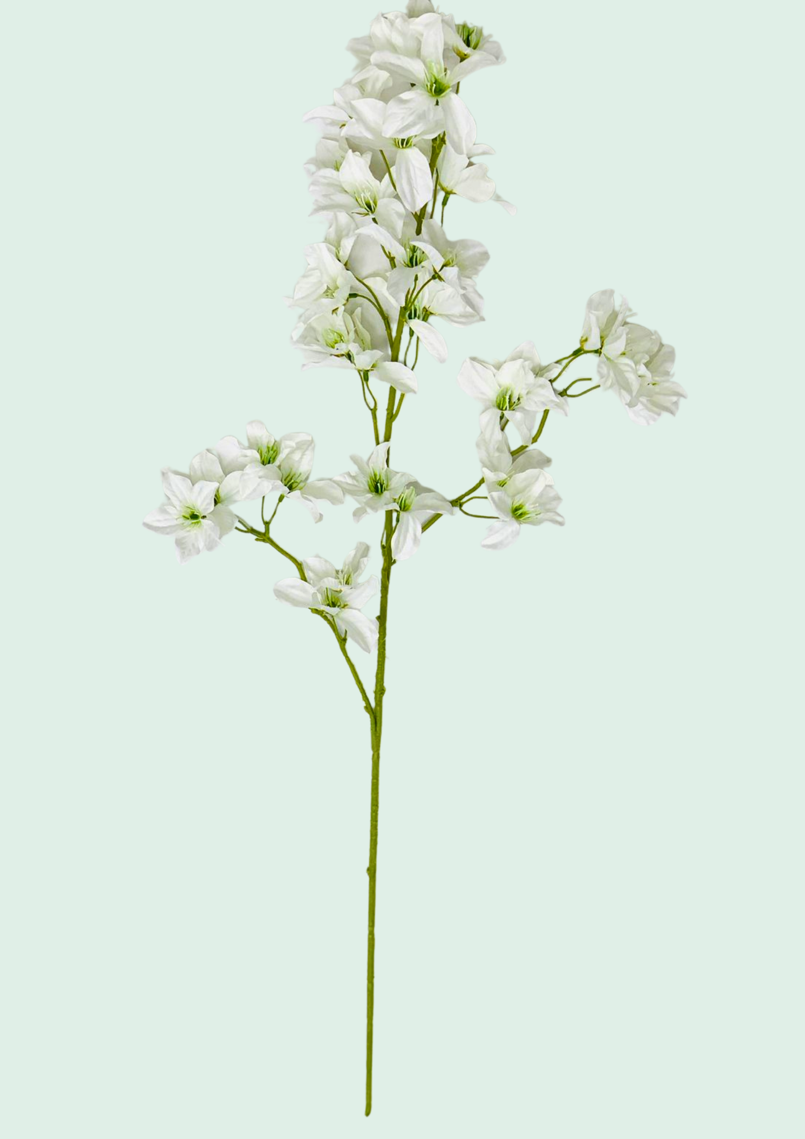 White Bougainvillea Spray