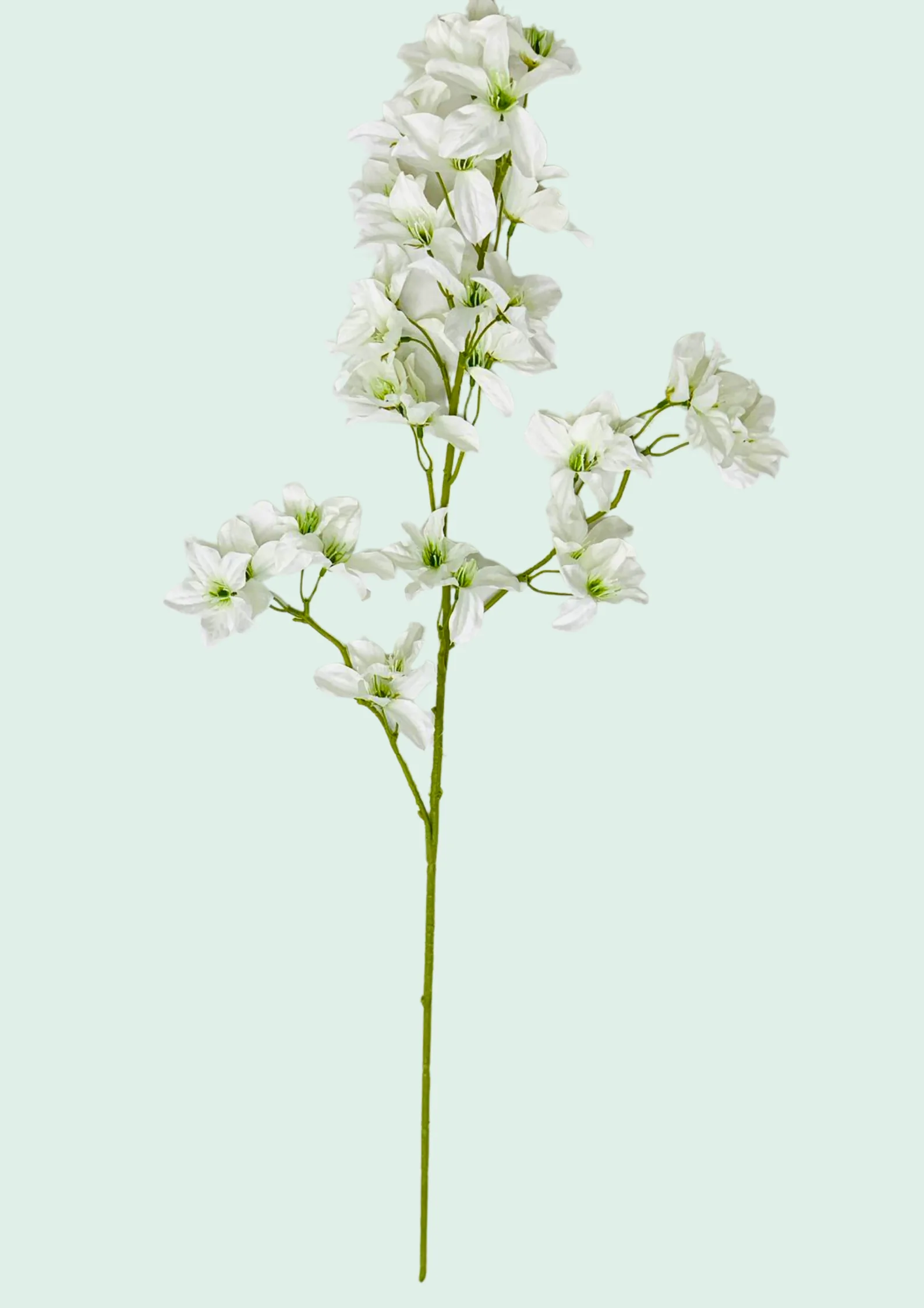 White Bougainvillea Spray