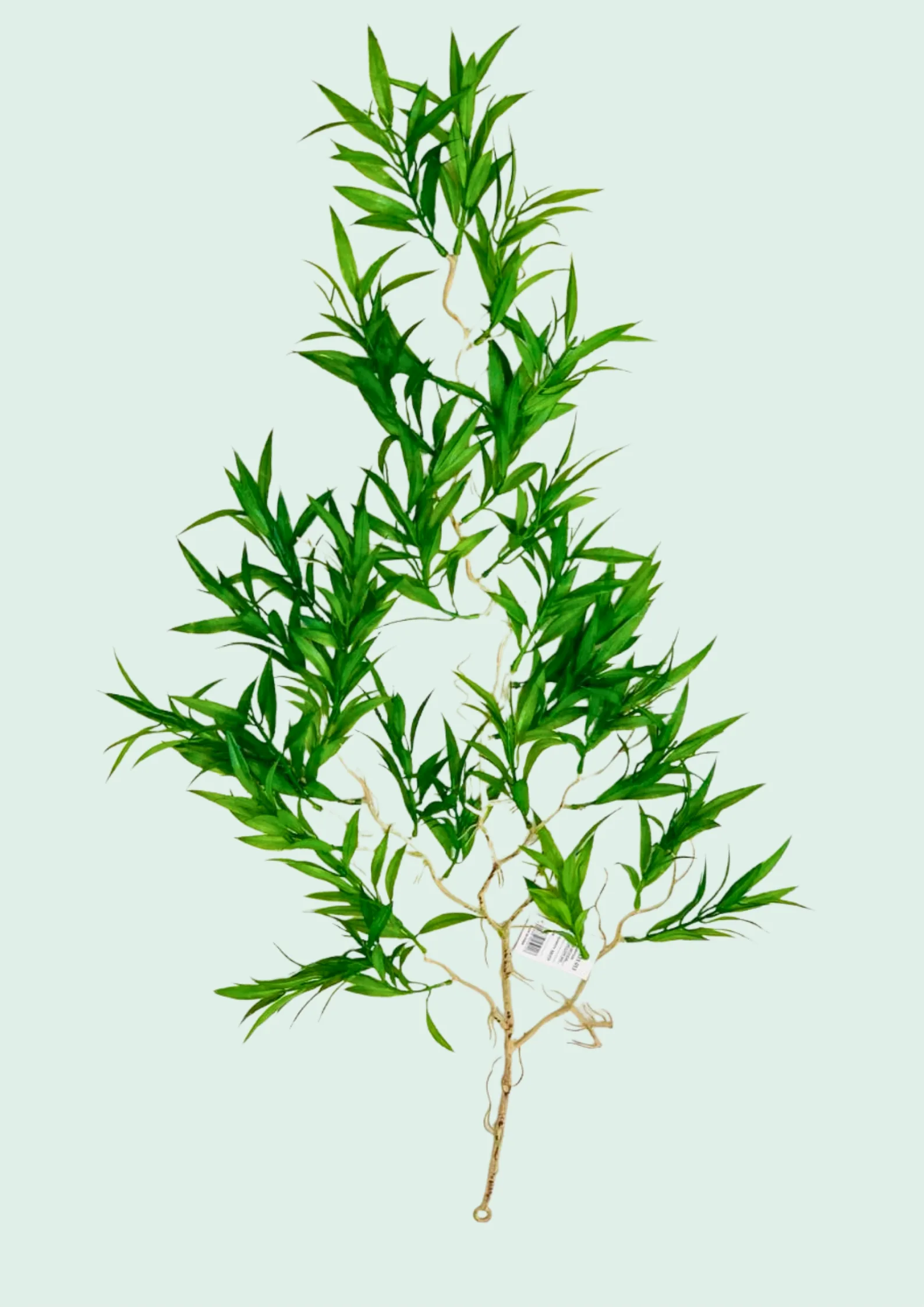 Willow Leaf Spray