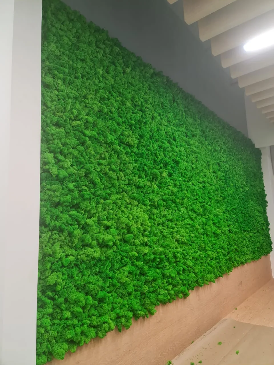 Real completed project: The finished moss wall panel along the corridor.