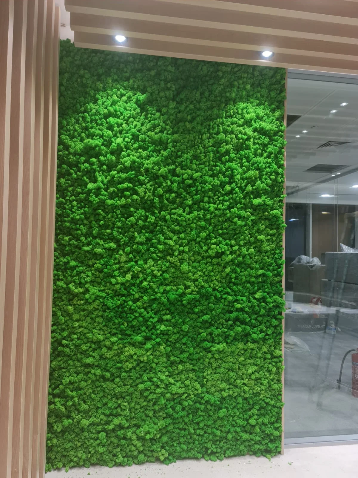 Real completed project: The finished moss wall panel in the reception area.
