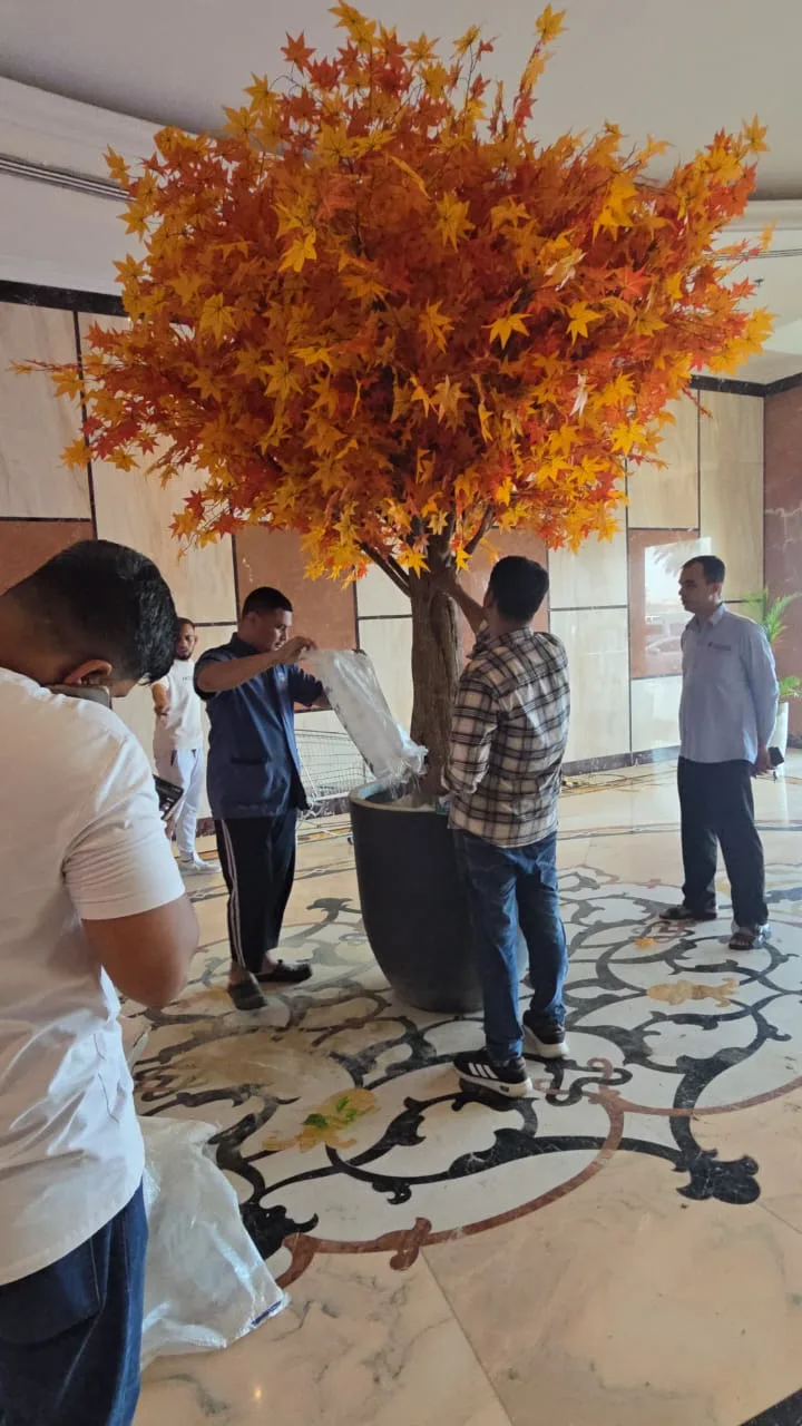Real completed project: Installing the large-format maple tree in the lobby.