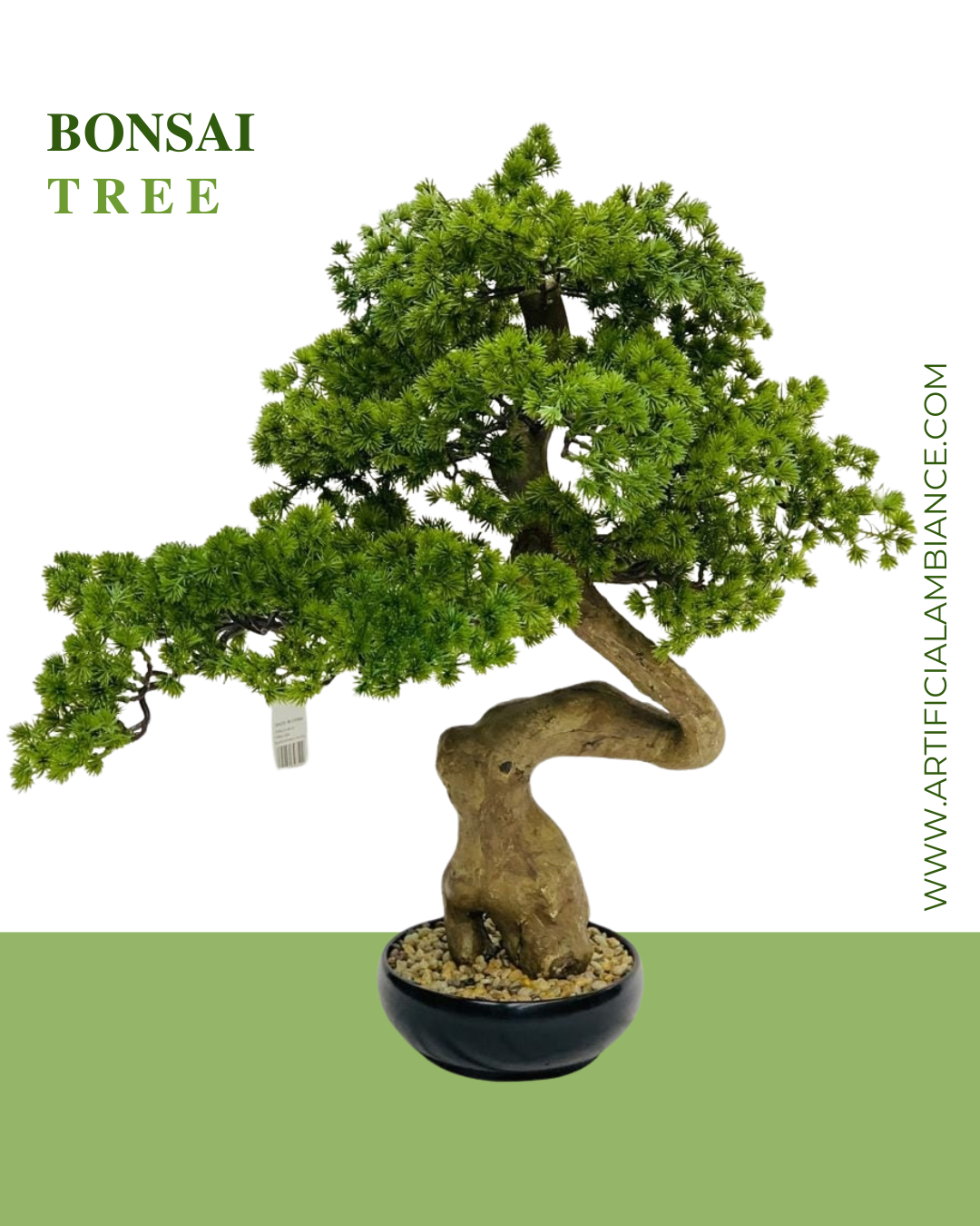 Bonsai Tree Card