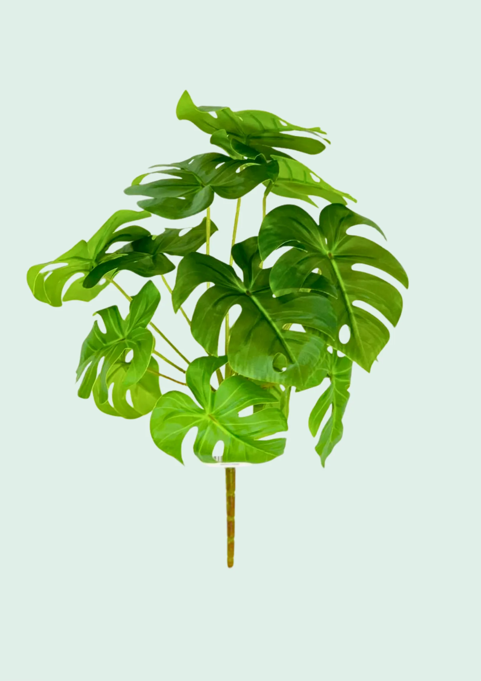 Monstera Leaf Spray