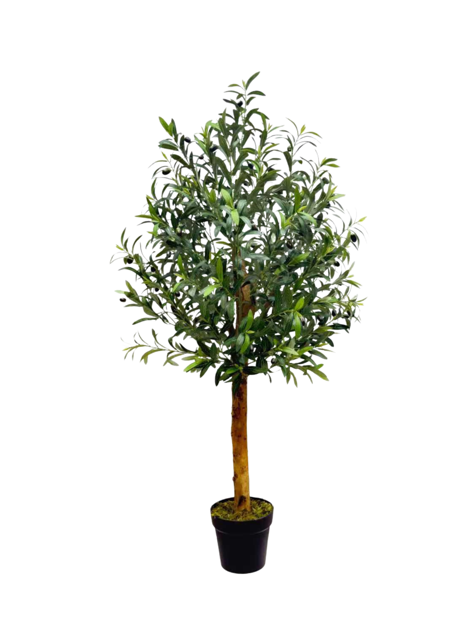 Olive Tree Round Card