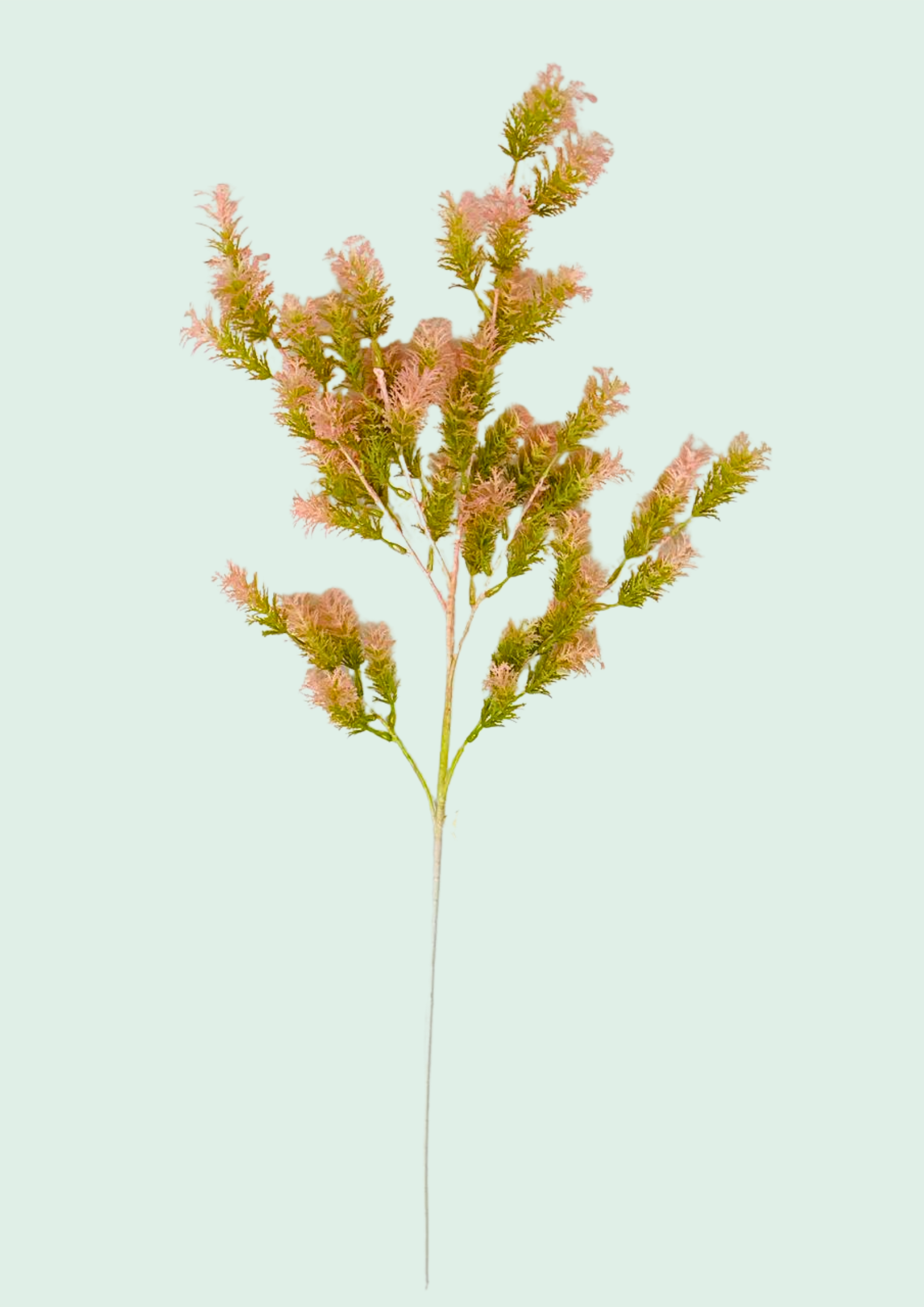 Pink Dried Teatree Spray