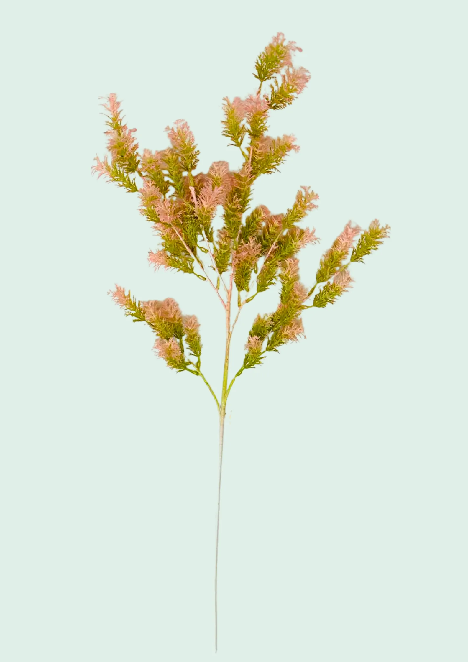 Pink Dried Teatree Spray
